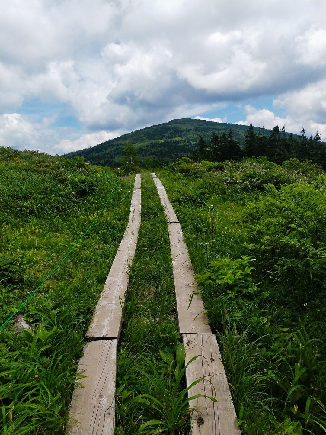 石森・森吉山 / レイドバックさんの森吉山の活動データ YAMAP / ヤマップ