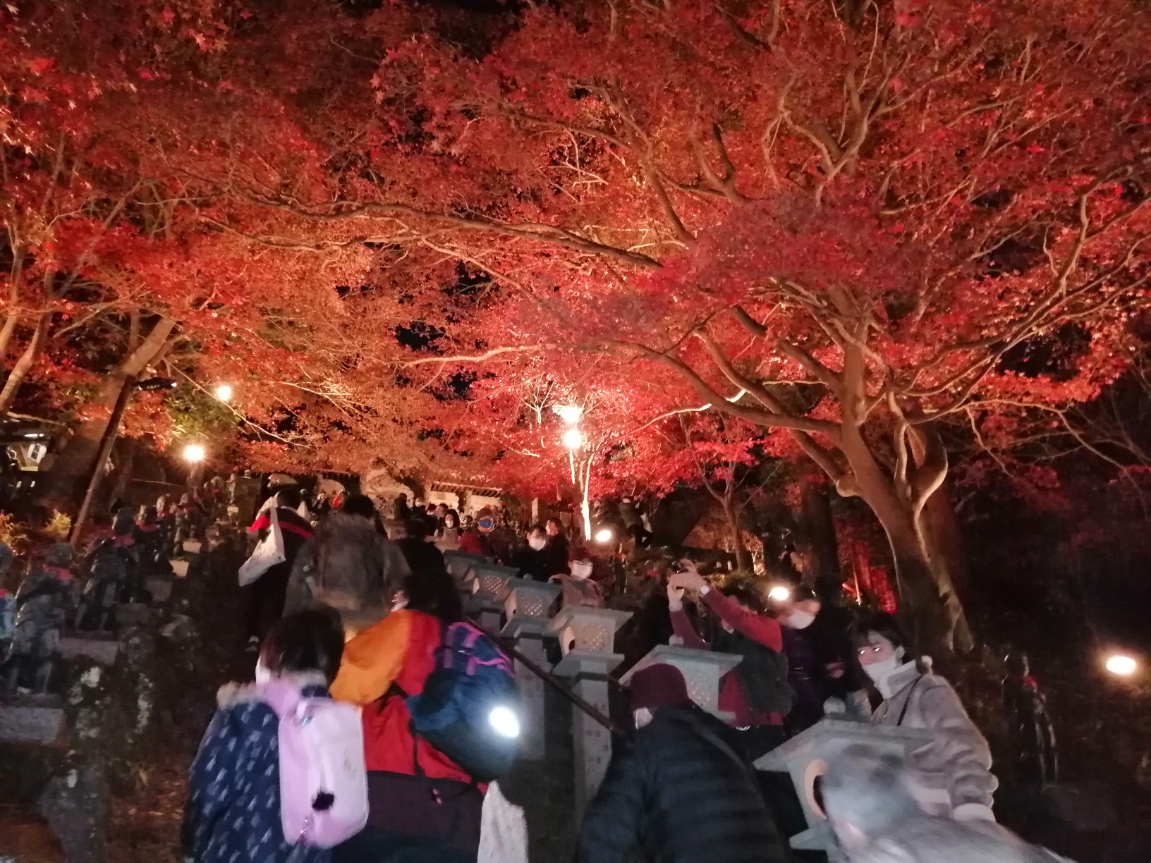 大山紅葉ライトアップ たあぼうさんの大山の活動データ Yamap ヤマップ