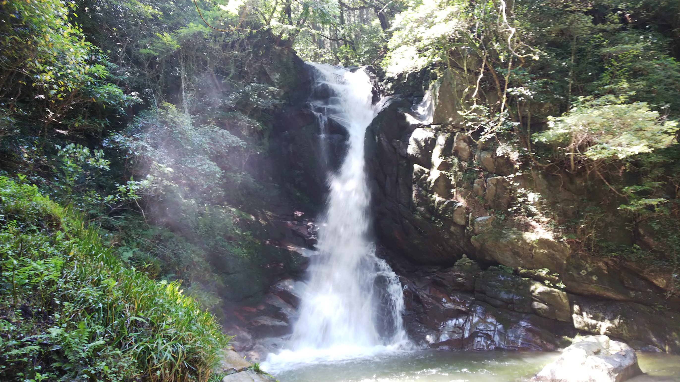 花乱の滝から金山周回 かわうそさんの脊振山 金山の活動データ Yamap ヤマップ