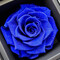 bluerose