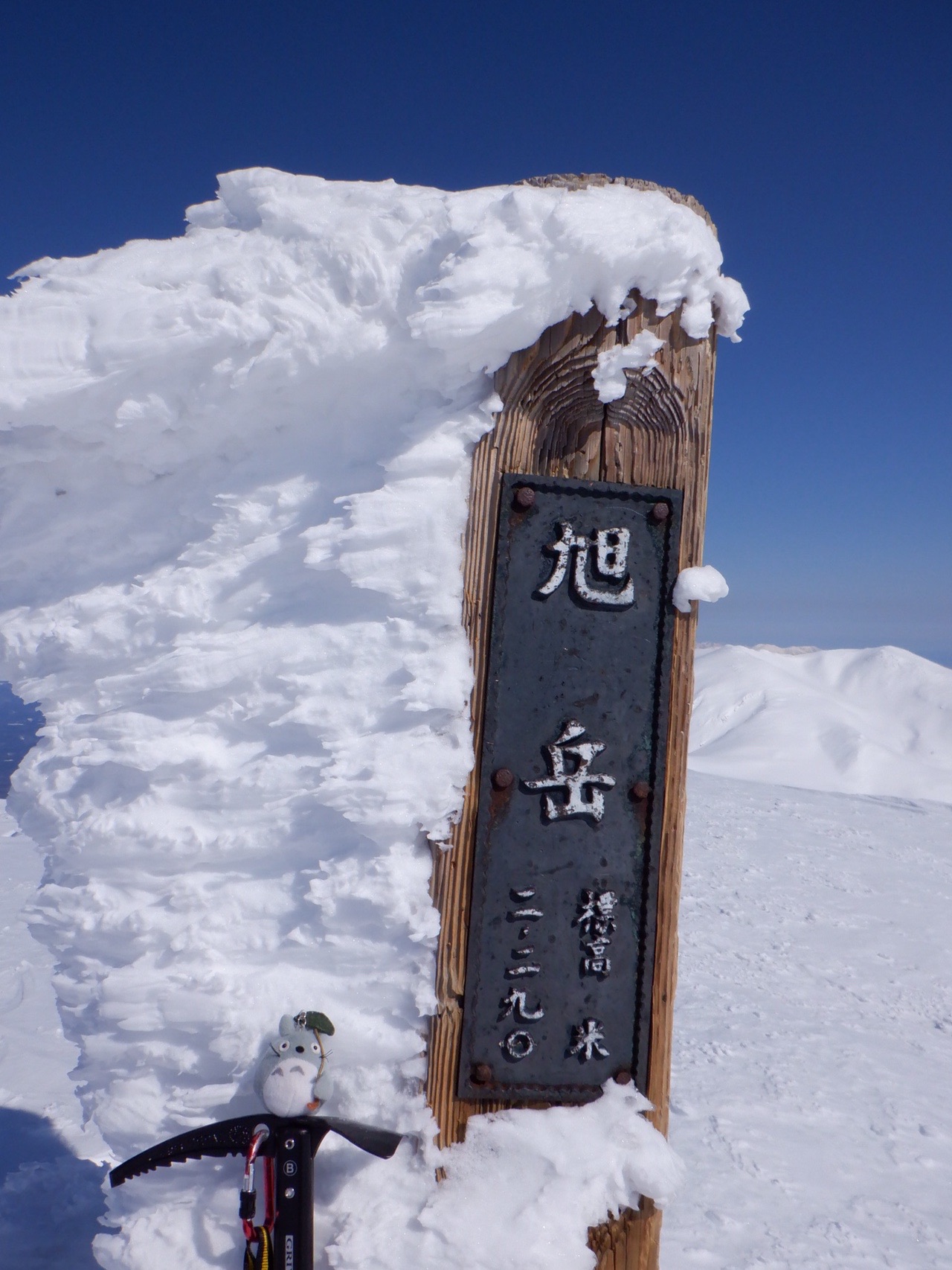北海道最高峰 旭岳 後旭岳 04 12 ともちゃん さんの大雪山系 旭岳 トムラウシの活動日記 Yamap ヤマップ