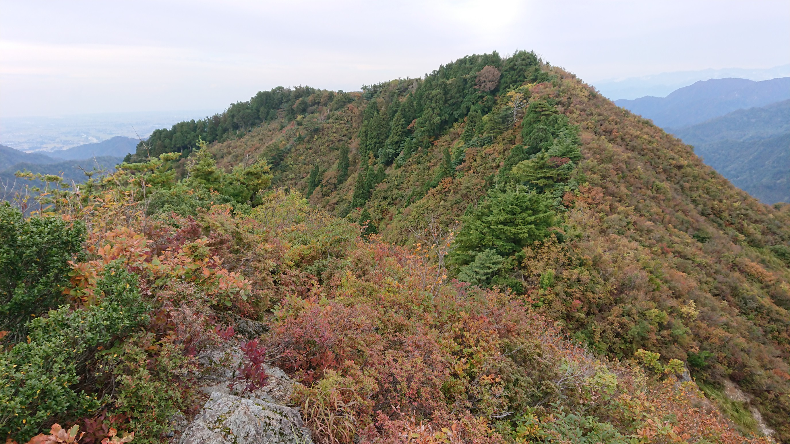 木六山・銀次郎山 毛石山 左
間引き１回目