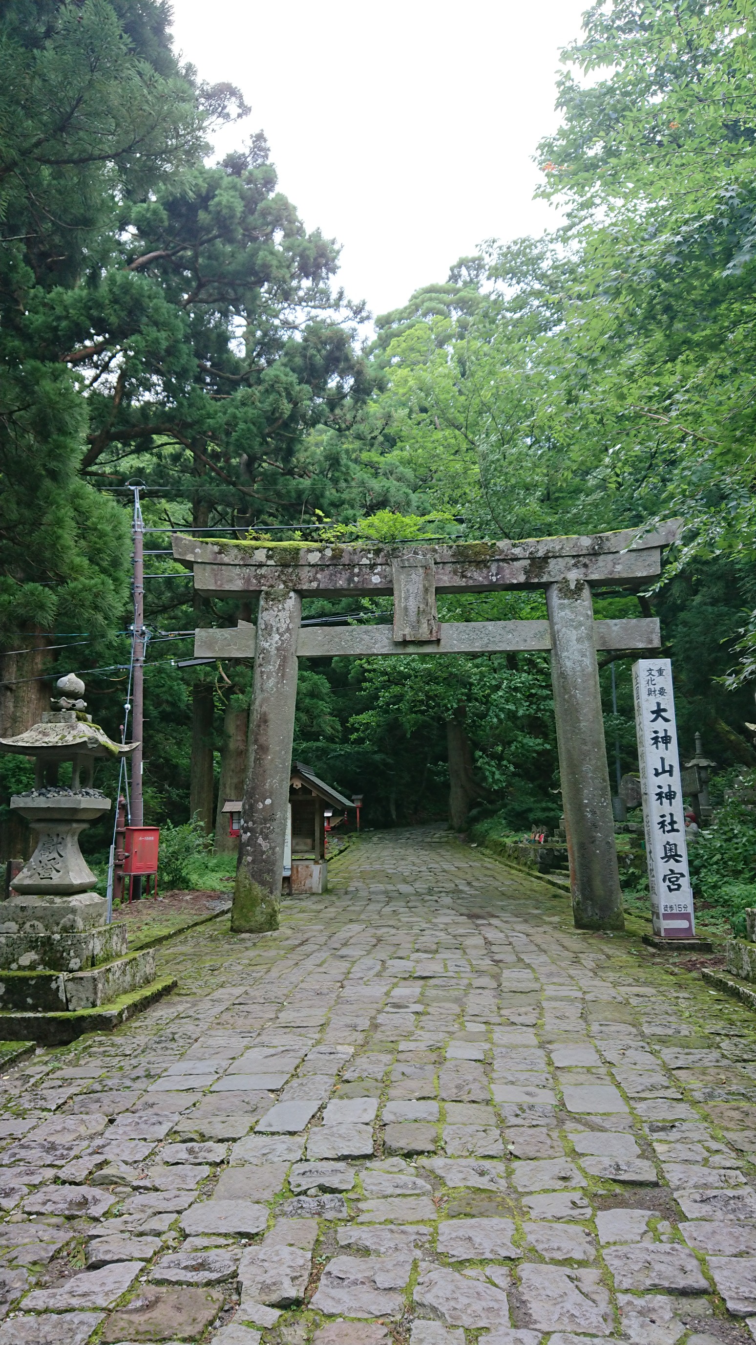 ボンジュール 宇多田ヒカル になりたくて 笑 大山 のおまけ日記 のんさんの烏ヶ山の活動日記 Yamap ヤマップ