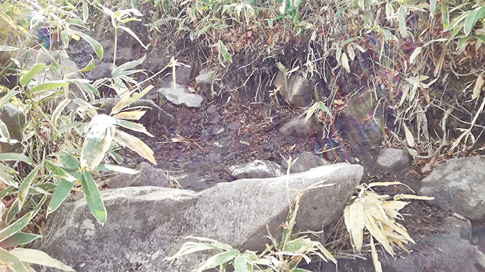 黒檜山 駒ヶ岳レポート 群馬 赤城山 19 05 22 ひなさんの赤城山 黒檜山 荒山の活動データ Yamap ヤマップ