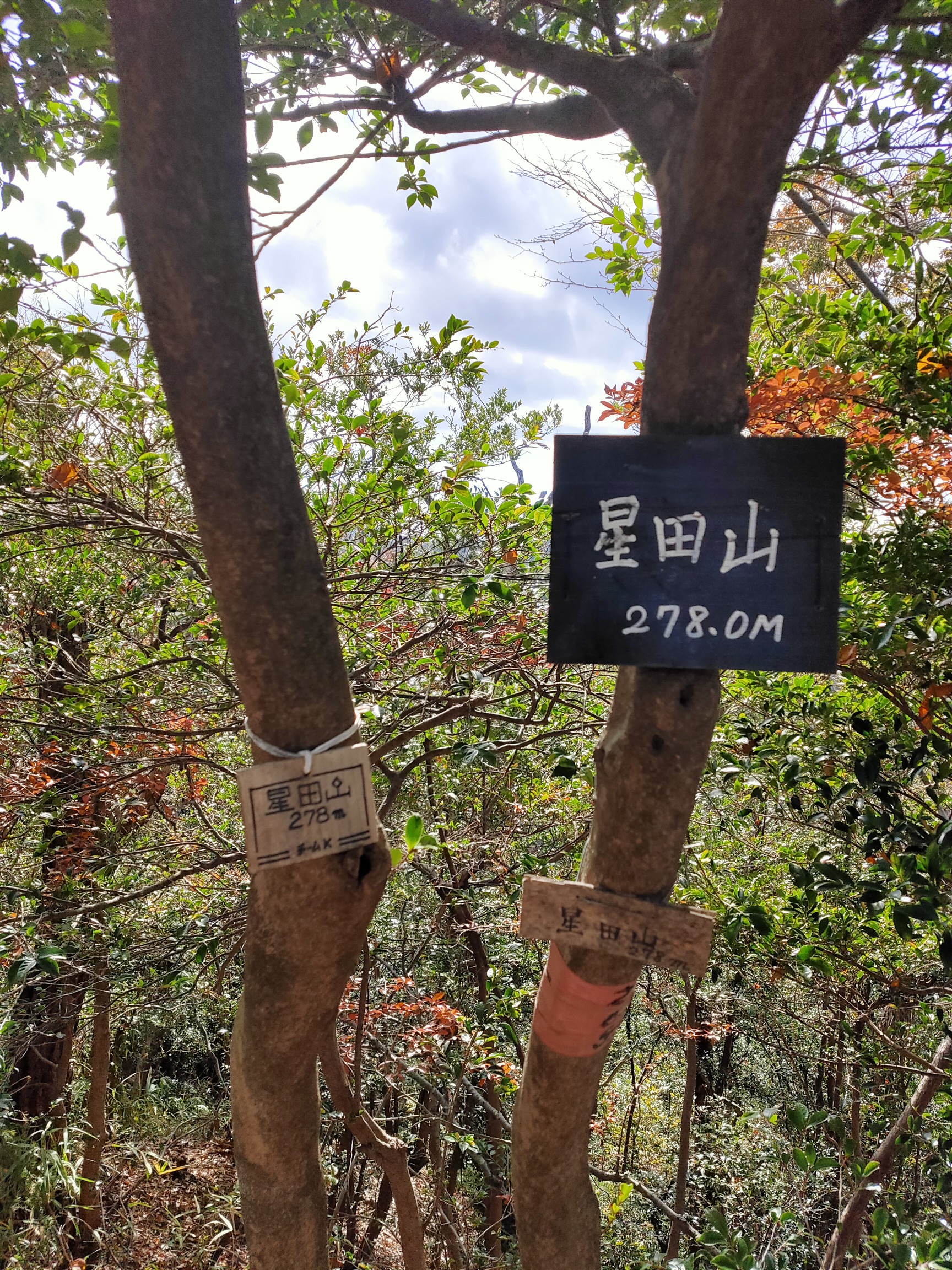 リベンジ星田山 25ピーク ヤバイ奴が来た のさんの交野山 国見山の活動データ Yamap ヤマップ