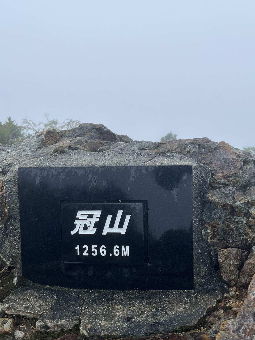 冠山 / いっぺーさんの冠山・金草岳の活動データ YAMAP / ヤマップ