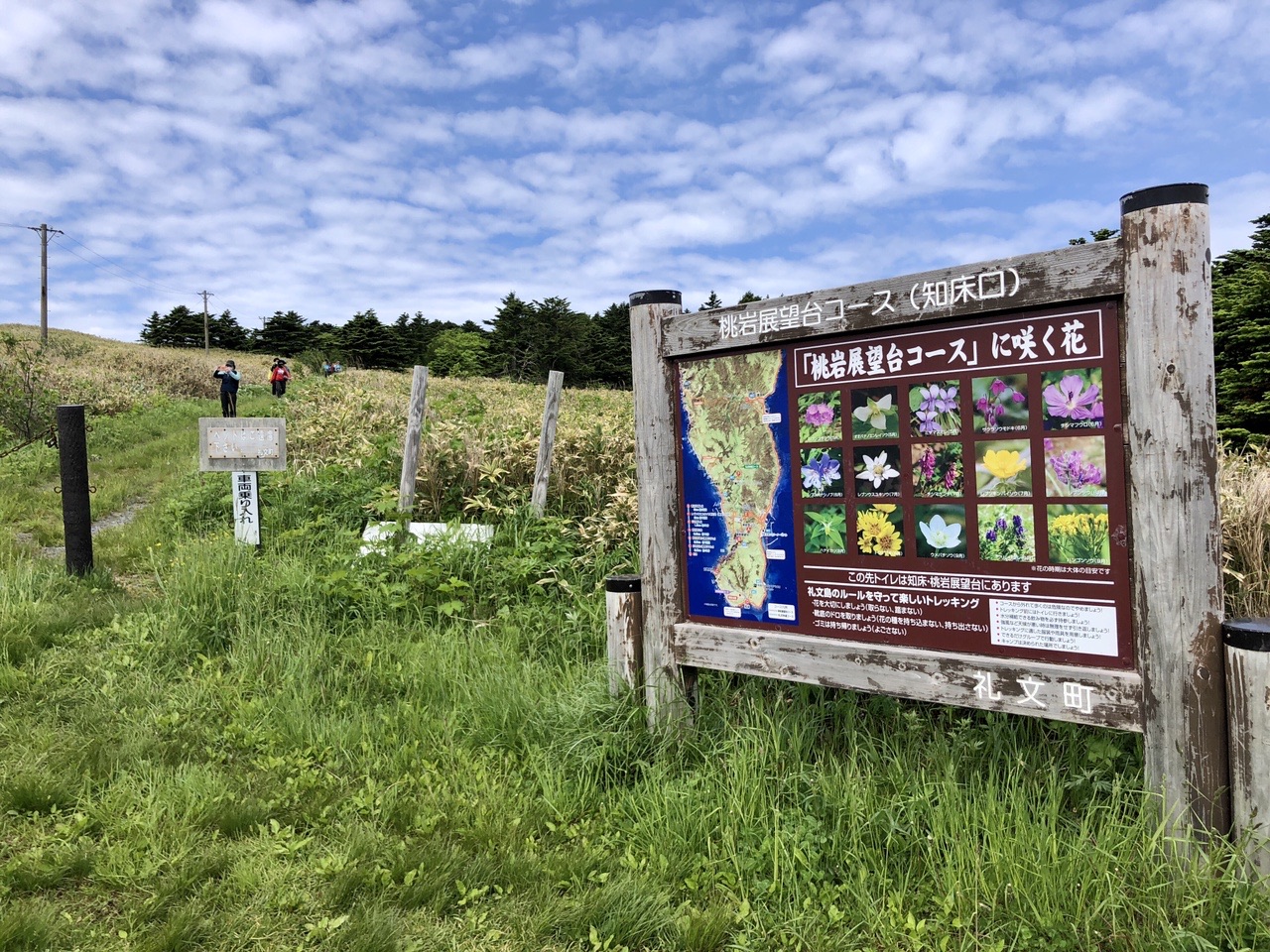 礼文島桃岩展望台コース ヒデさんの礼文島の活動データ Yamap ヤマップ
