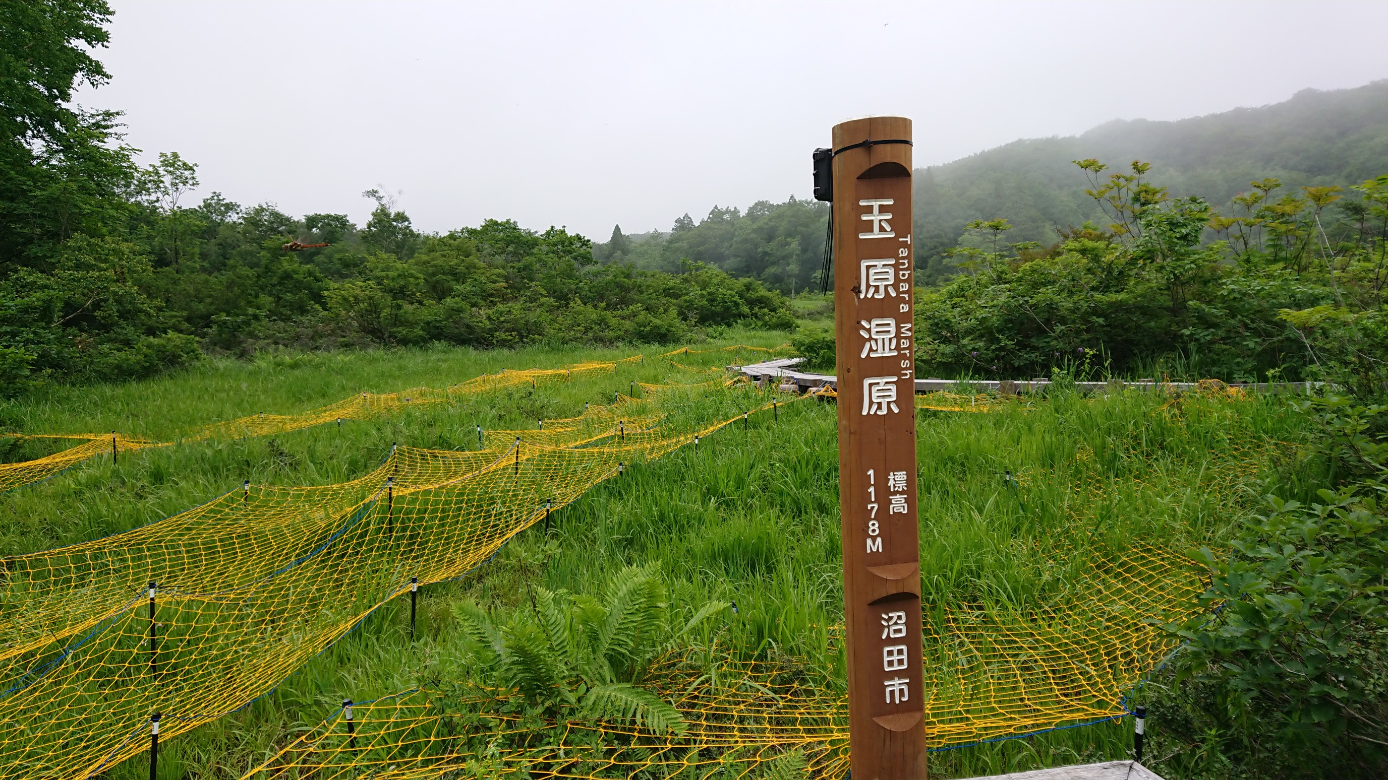 玉原湿原 19 07 08 悟さんの武尊山 鹿俣山 尼ヶ禿山の活動データ Yamap ヤマップ