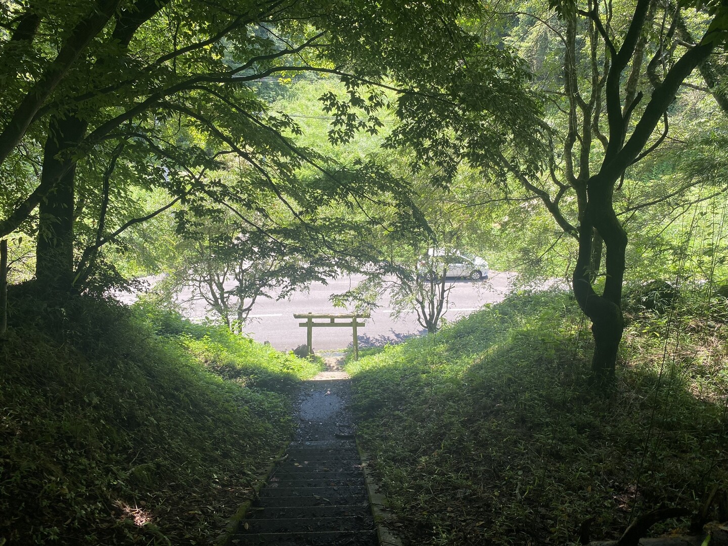 宇津峰 足尾神社口から / ともぞうさんの宇津峰山（宇津峰）の活動データ | YAMAP / ヤマップ