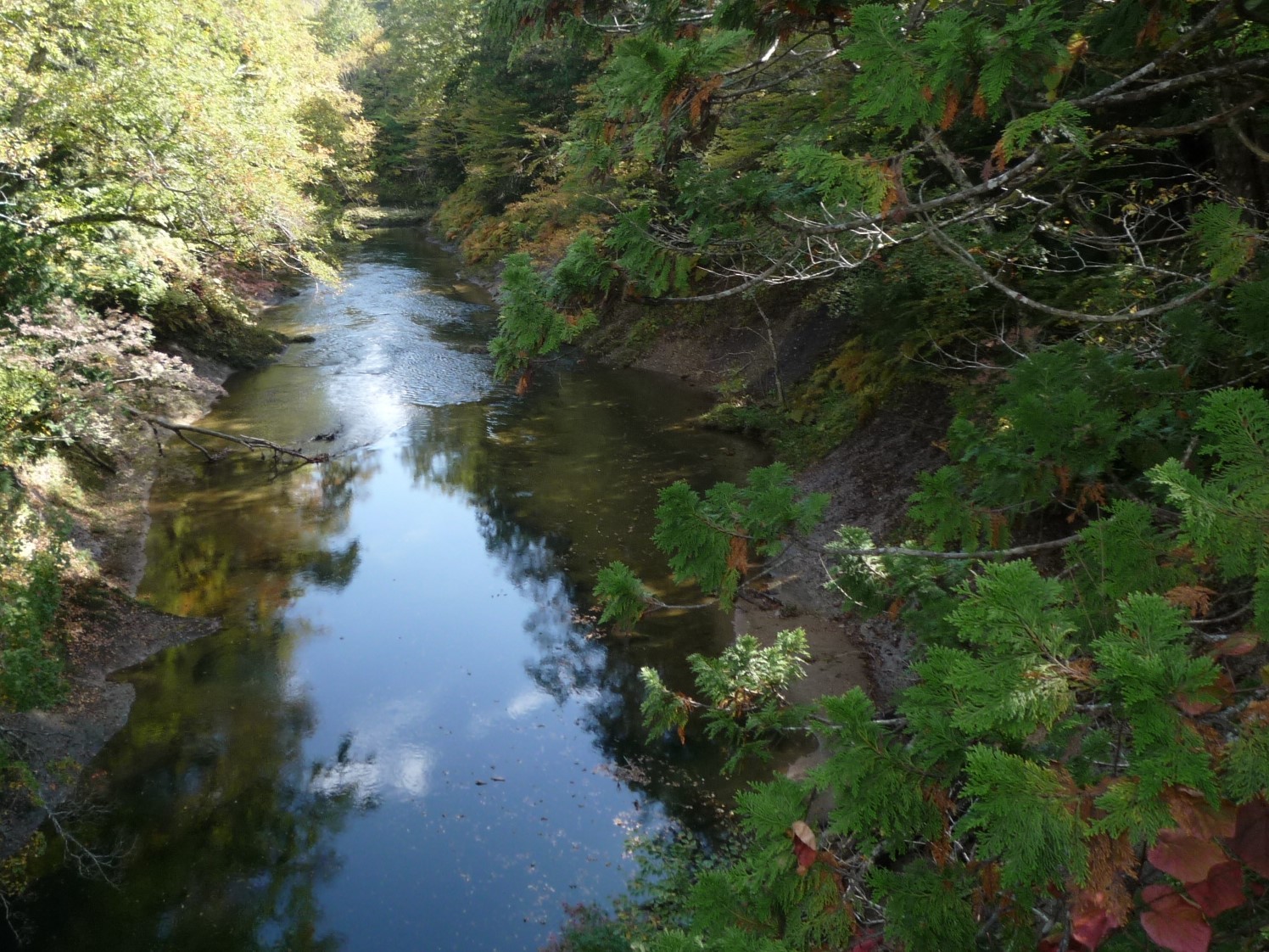 薬研渓流 むつ市 大畑町 Suzyさんのむつ市 大畑町エリア の活動日記 Yamap ヤマップ