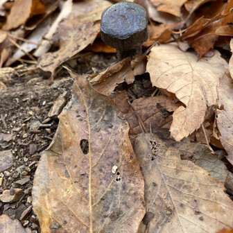 各務原アルプス（関南アルプス）・八木三山 杭が地面から出てます😱
以前一緒に登った方のお友達が
靴紐に杭が引っかかって転倒したそうです
気をつけねば💦