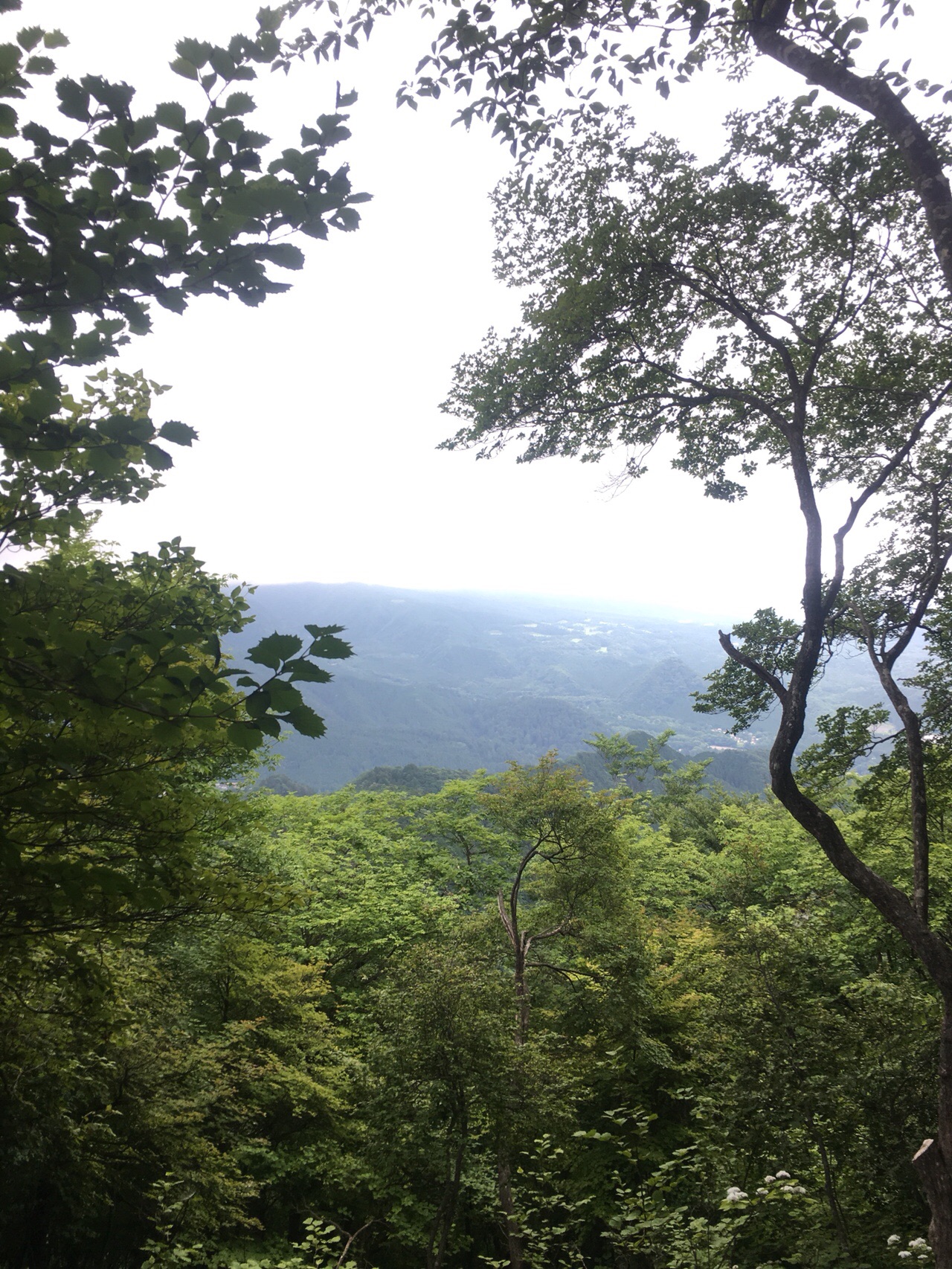 鳴虫山 もあさんの鳴虫山 火戸尻山の活動データ Yamap ヤマップ