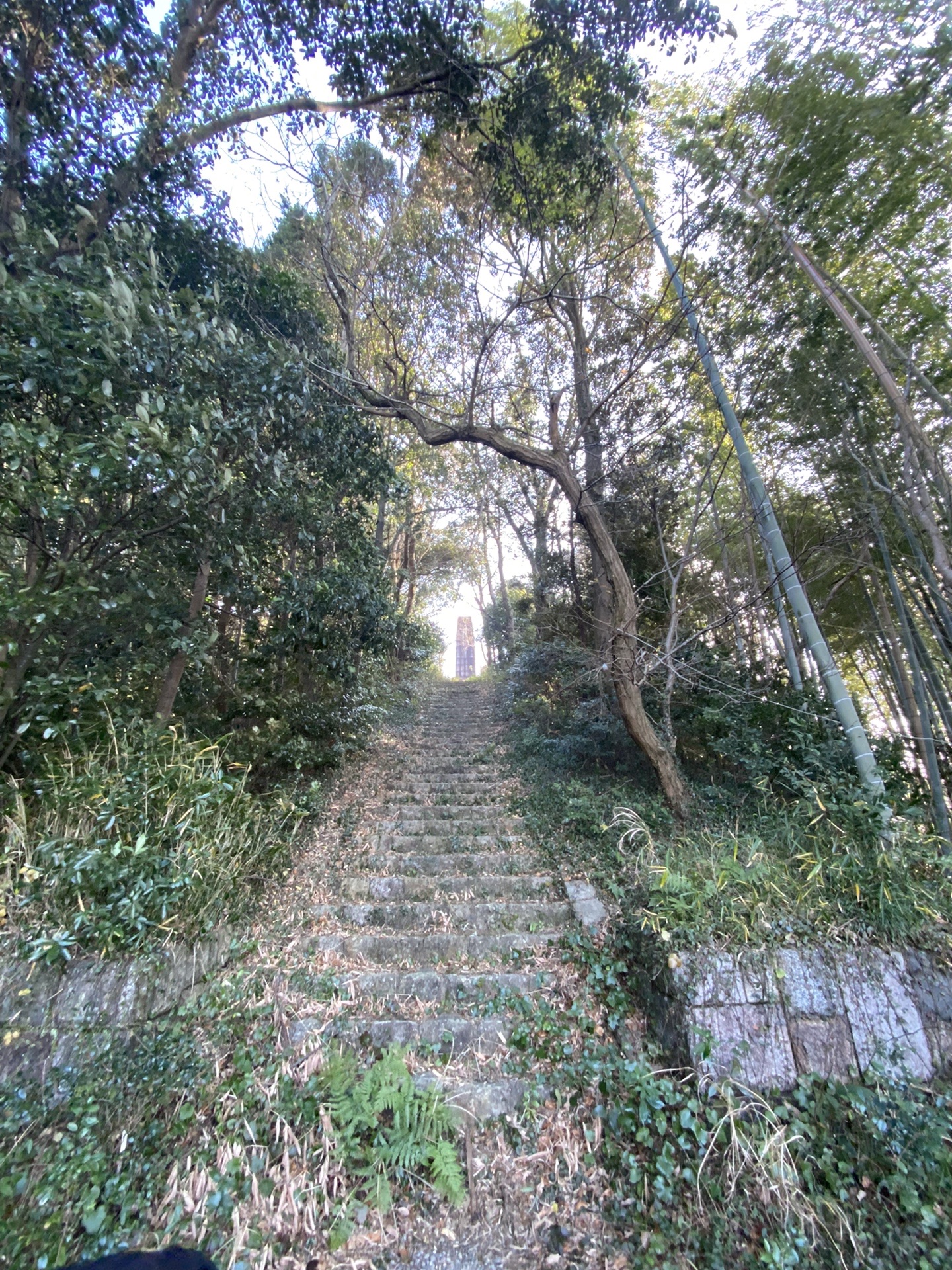 干支のお山 虎尾山へ Chiiiyanさんの伊勢市の活動日記 Yamap ヤマップ