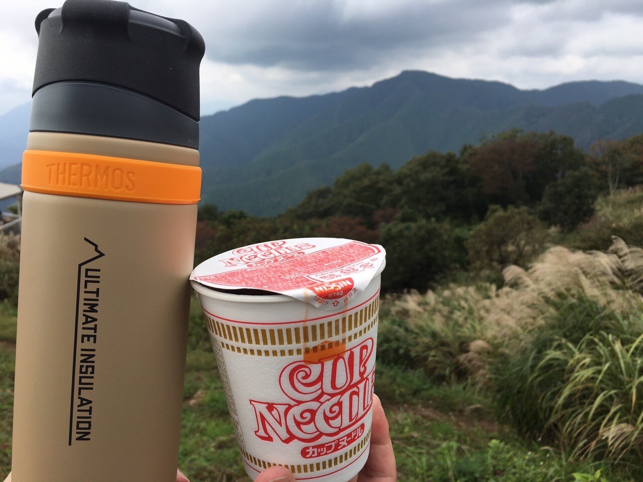 やまさん 専用 山さん専用～ʕ•ᴥ•ʔ」お中元シリーズ ヱビスビール YE10DT