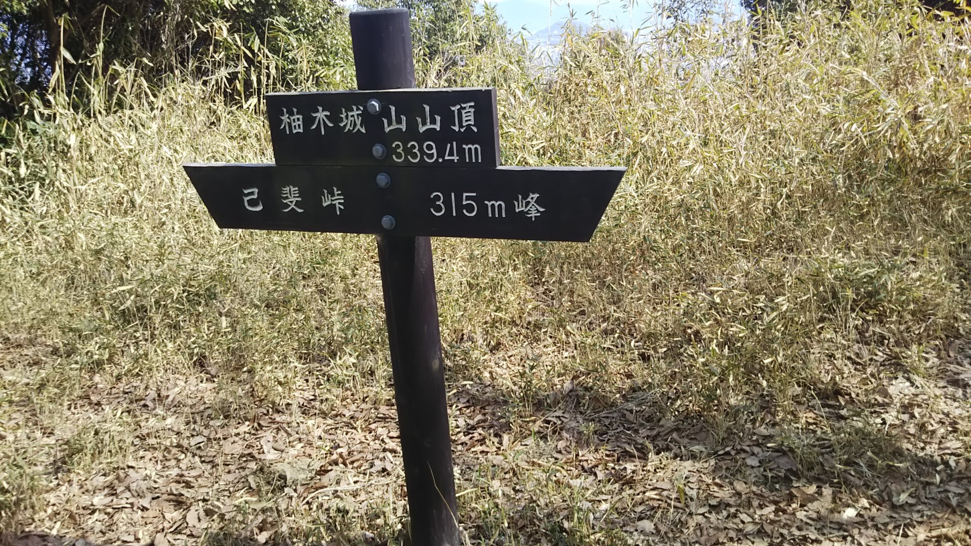 鈴ヶ峰～己斐峠 20190320 / チロさんの広島南アルプス（武田山・三滝山・鈴ヶ峰）の活動データ YAMAP / ヤマップ