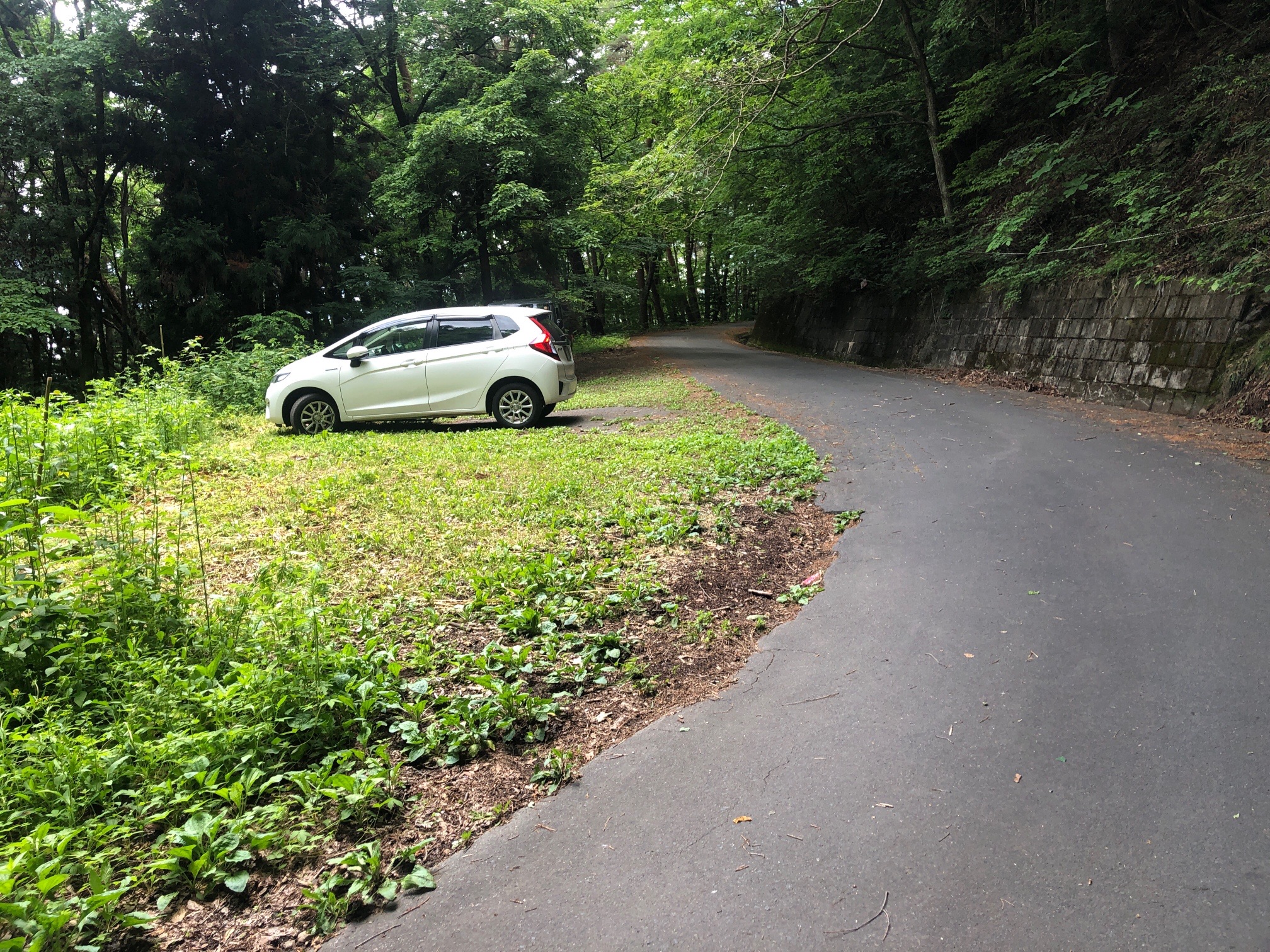 ここに車を。先駆者、一台。