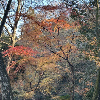 いちいち見惚れるのでなかなか前に進みません