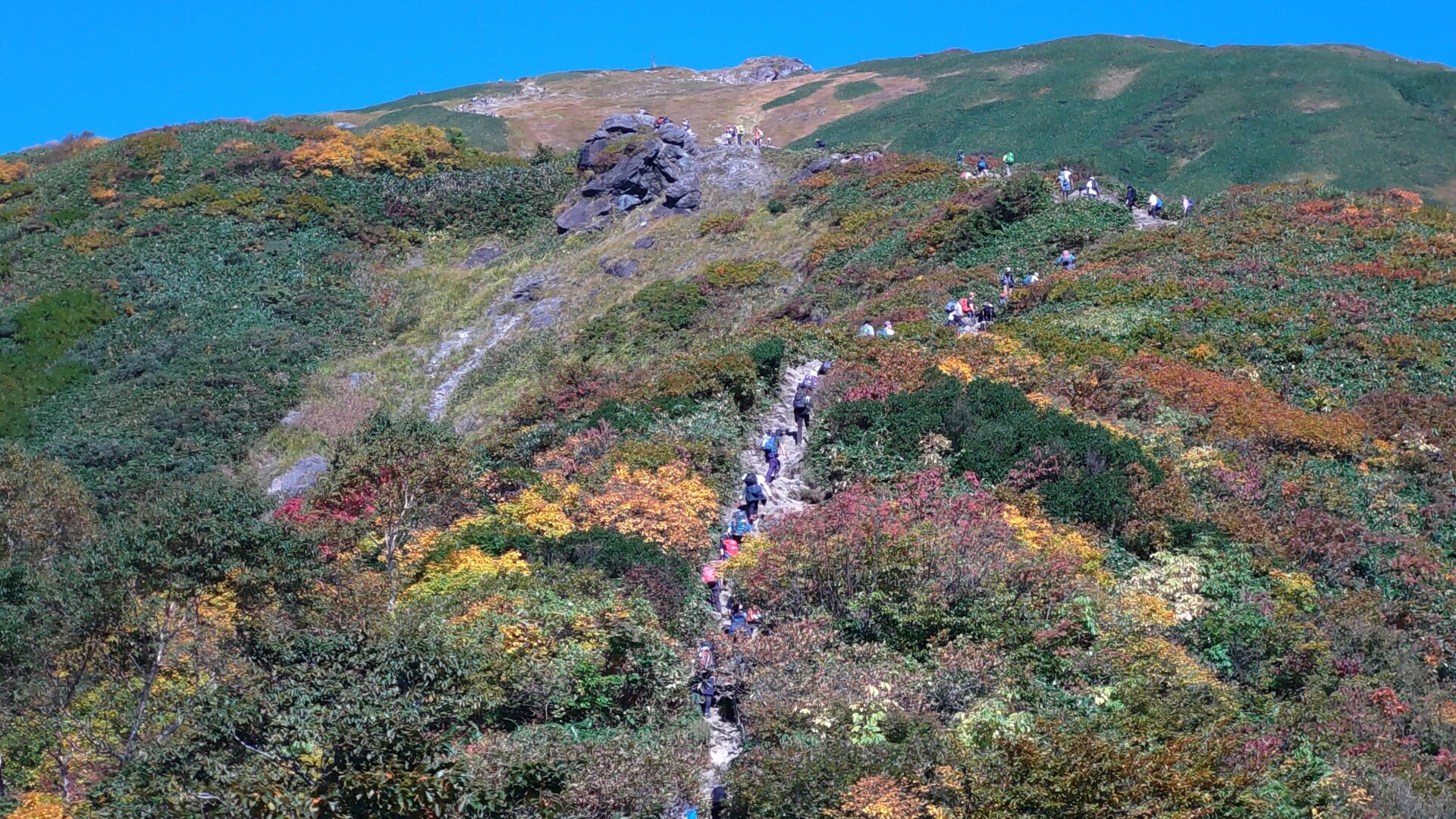 紅葉の谷川岳へ。 / hareroyaさんの谷川岳・七ツ小屋山・大源太山の活動データ | YAMAP / ヤマップ