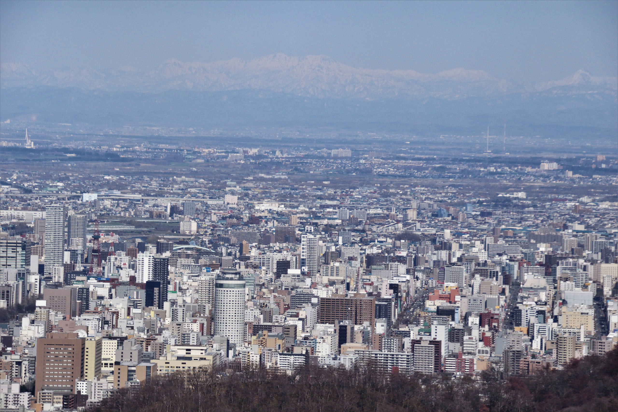 奥三角山 小別沢コース 北前船さんの三角山 札幌市 大倉山 円山の活動日記 Yamap ヤマップ