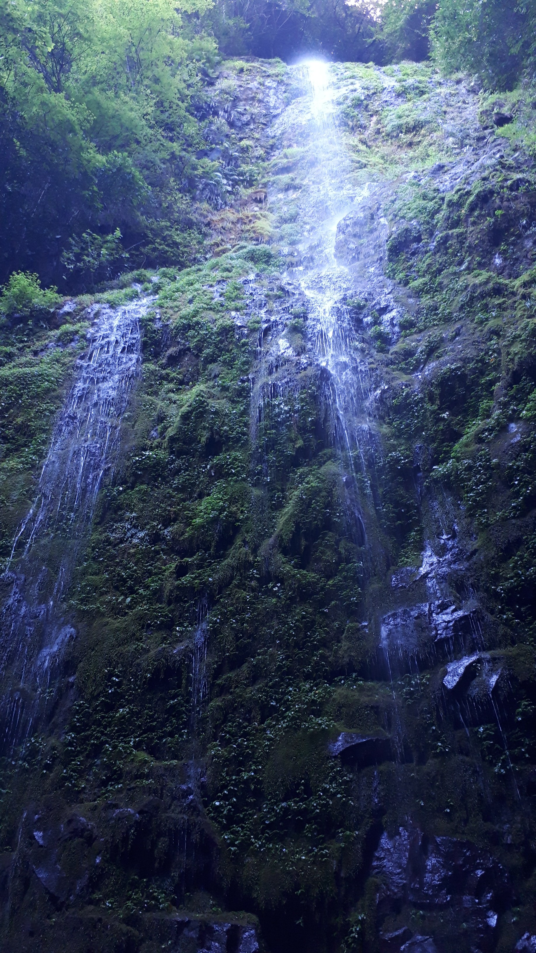 乙原の滝 別府市 Jasperさんの別府市の活動データ Yamap ヤマップ