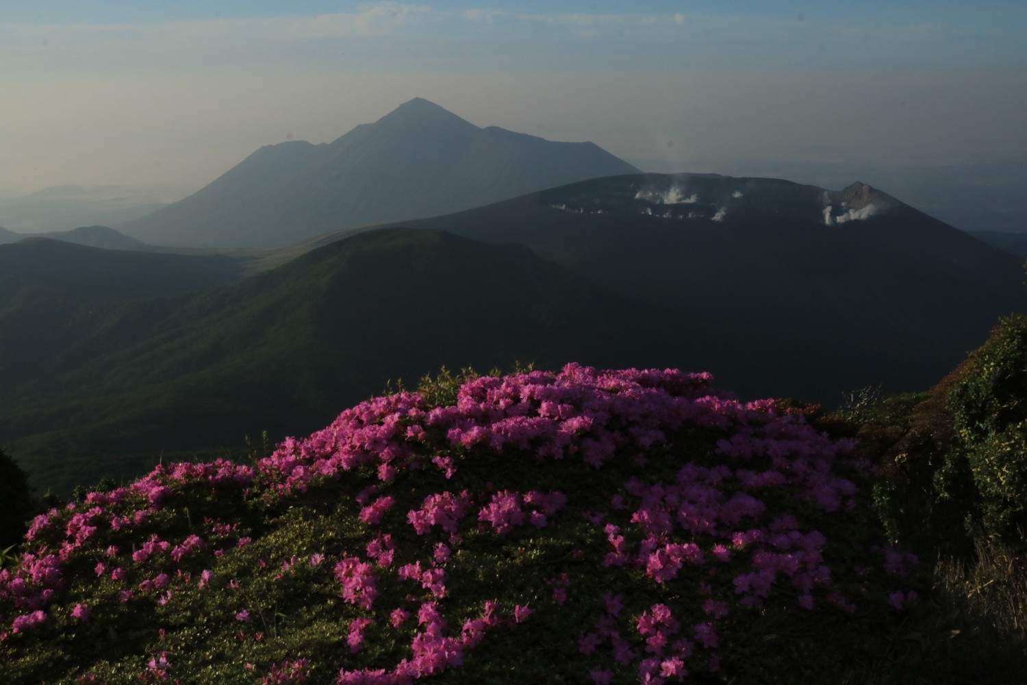 見頃を迎えるミヤマキリシマ 深山霧島 の 韓国岳 山頂 令和二年 ２０２０年６月５日 Rikaさんの霧島山 韓国岳 高千穂峰 夷守岳 烏帽子岳の活動データ Yamap ヤマップ