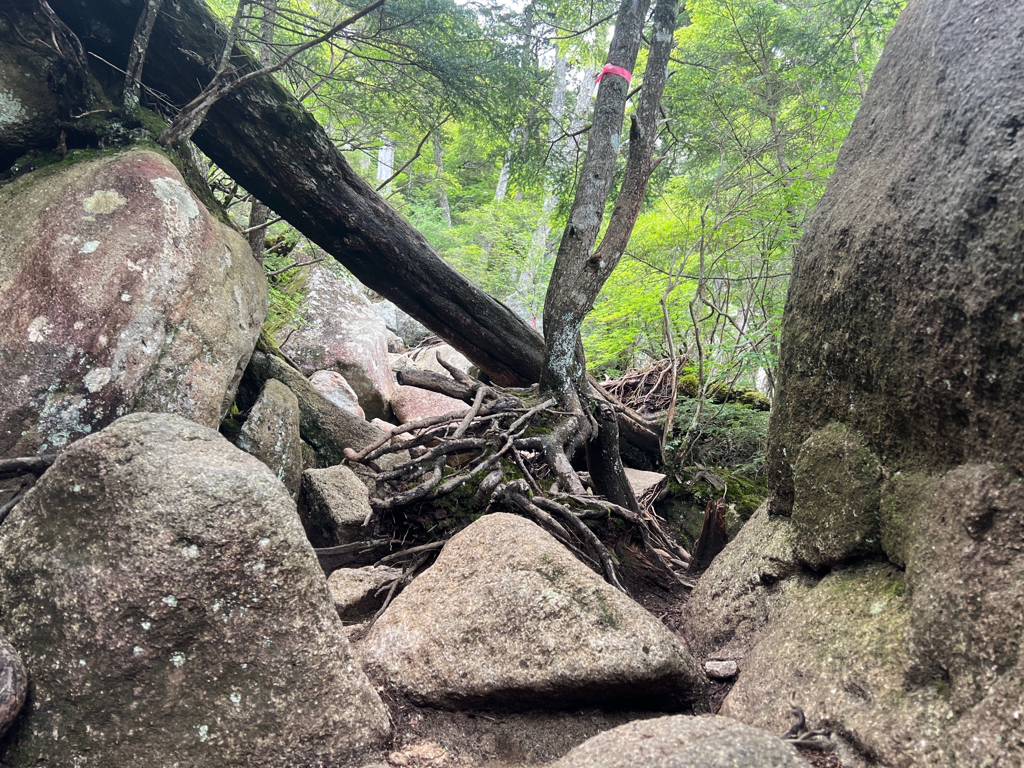 中々、つかない、ごっつい。岩ばかり