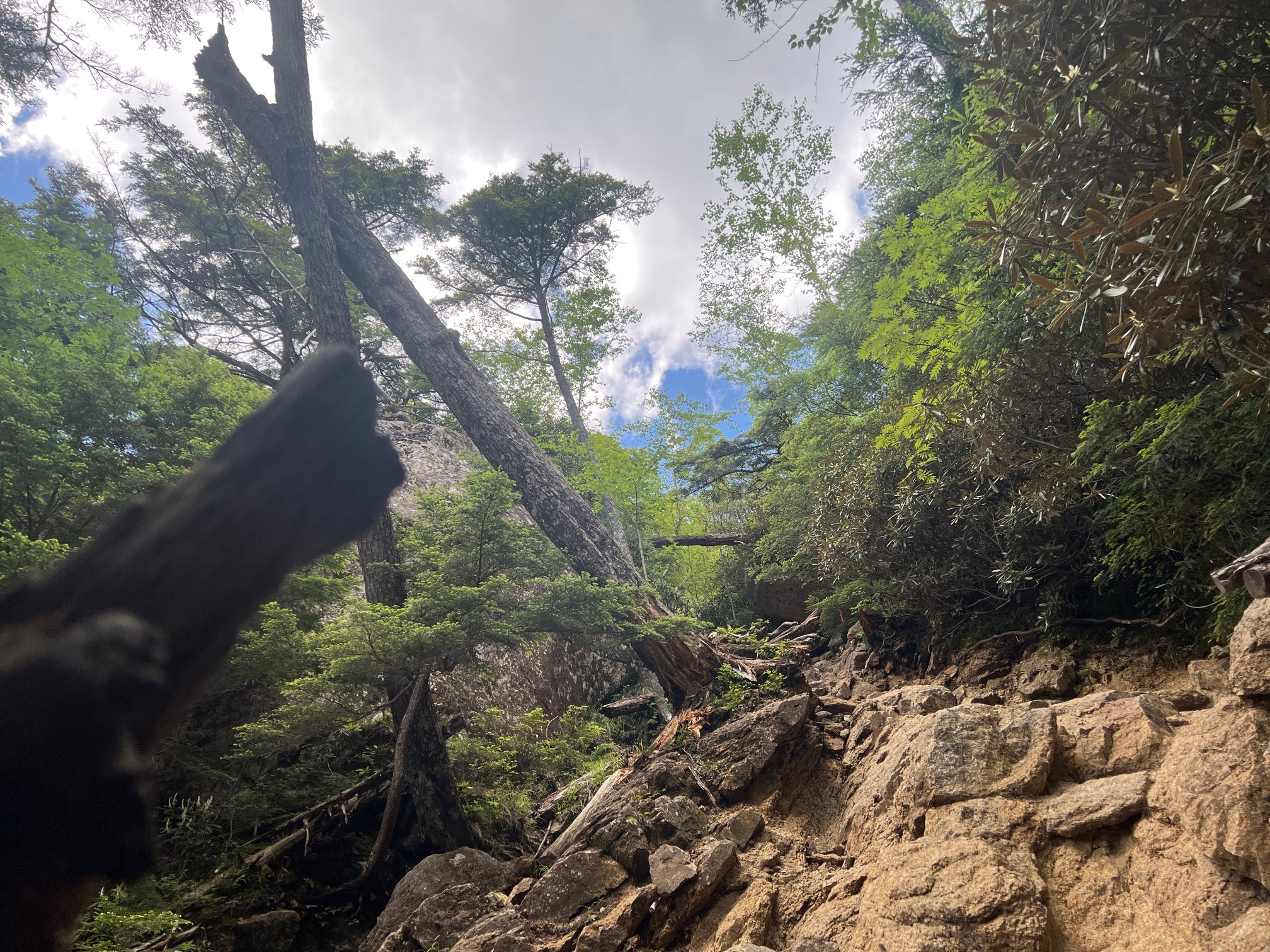 足元、悪すぎて、慎重に、登ります