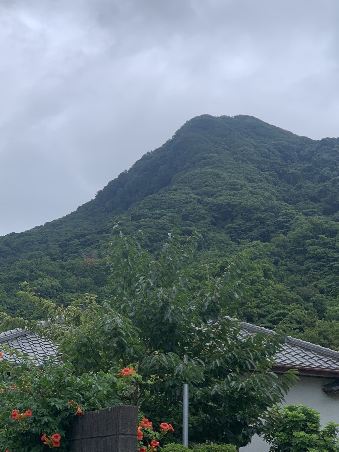 小鷲頭山・鷲頭山 / まあちゃんさんの沼津アルプス・鷲頭山・香貫山の活動データ YAMAP / ヤマップ