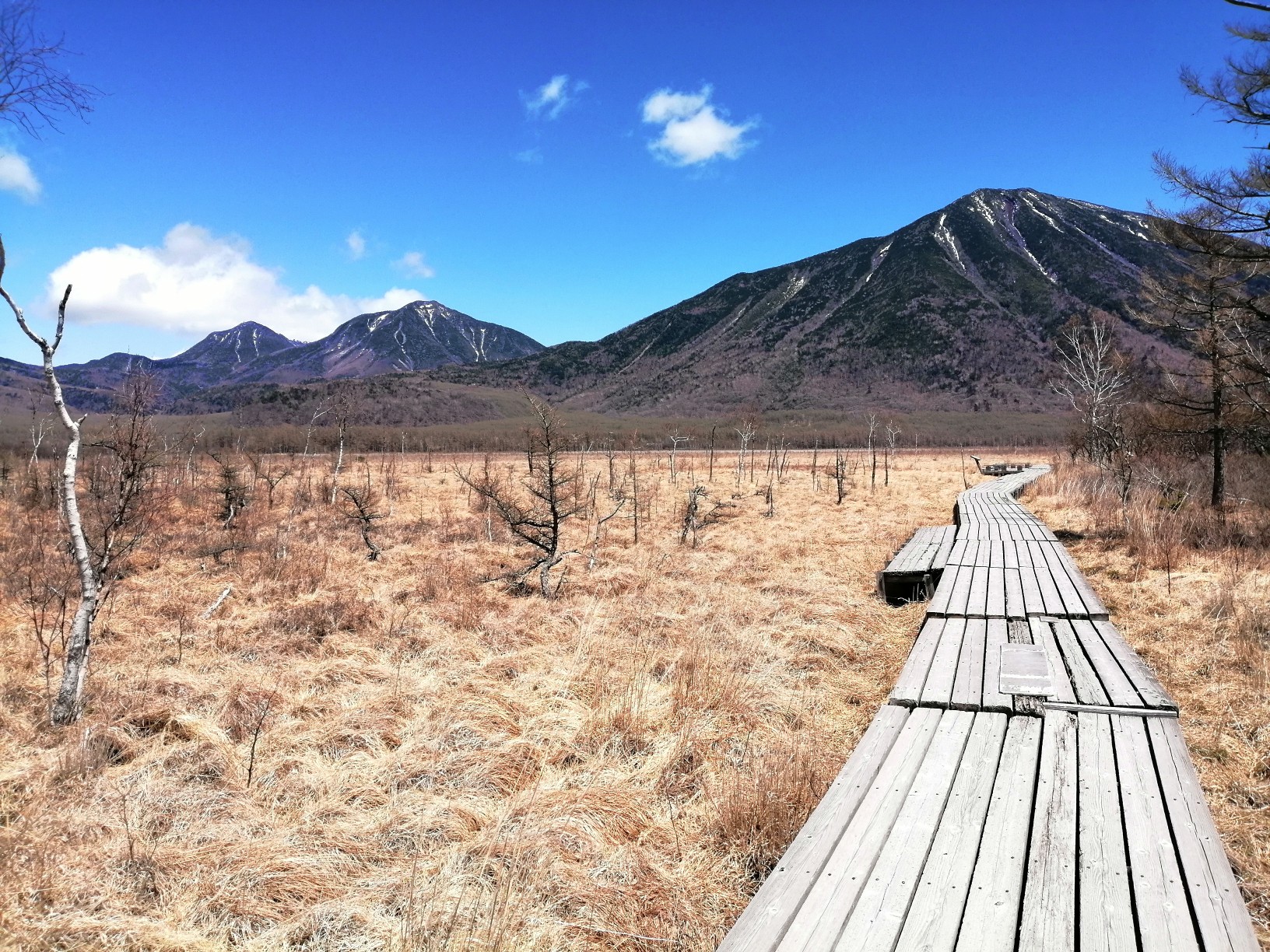 戦場ケ原内 通行止め有り 05 07 アリがとうさんの男体山の活動データ Yamap ヤマップ