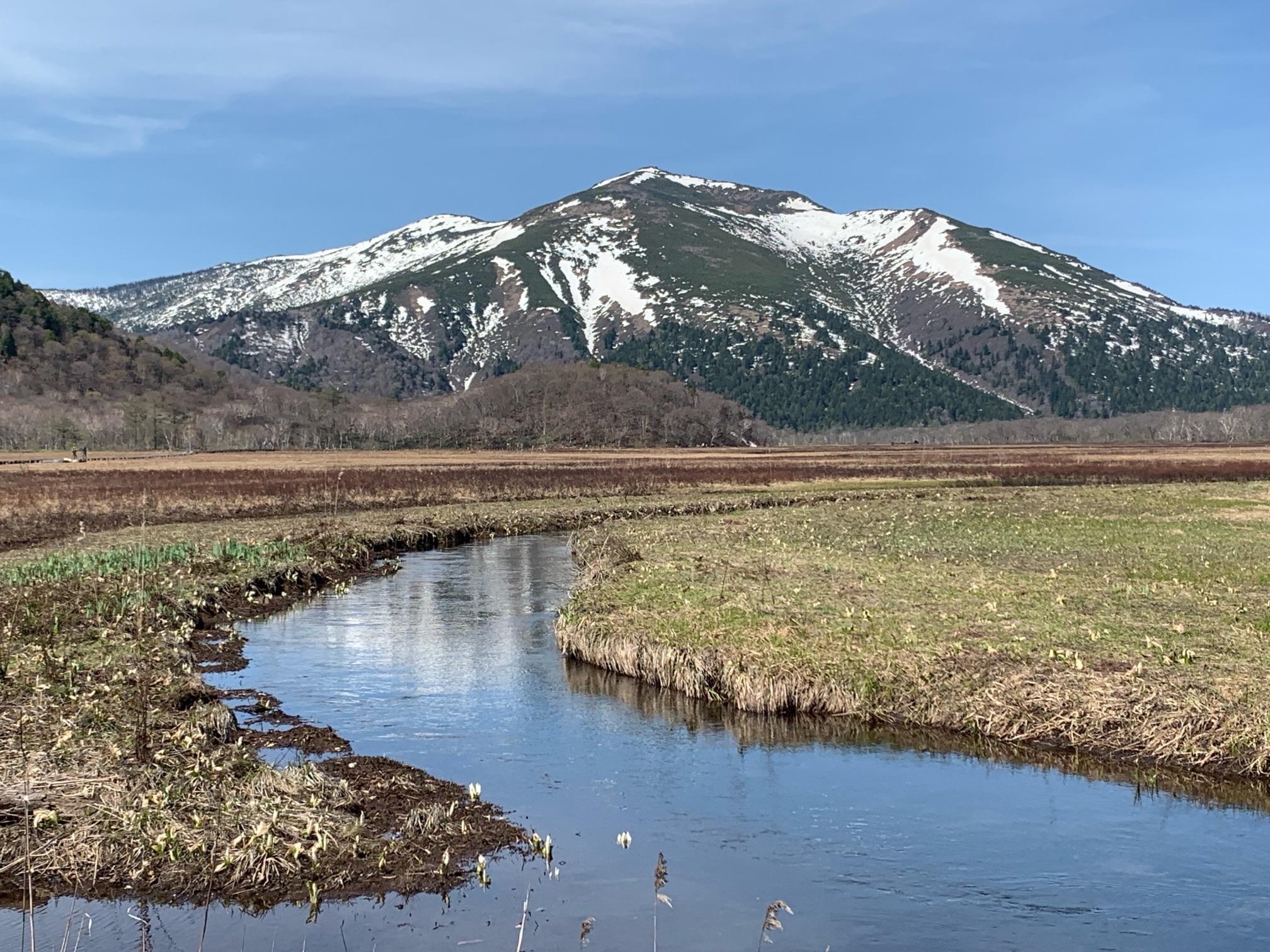 富士山 アート 尾瀬 水芭蕉 【公式通販】
