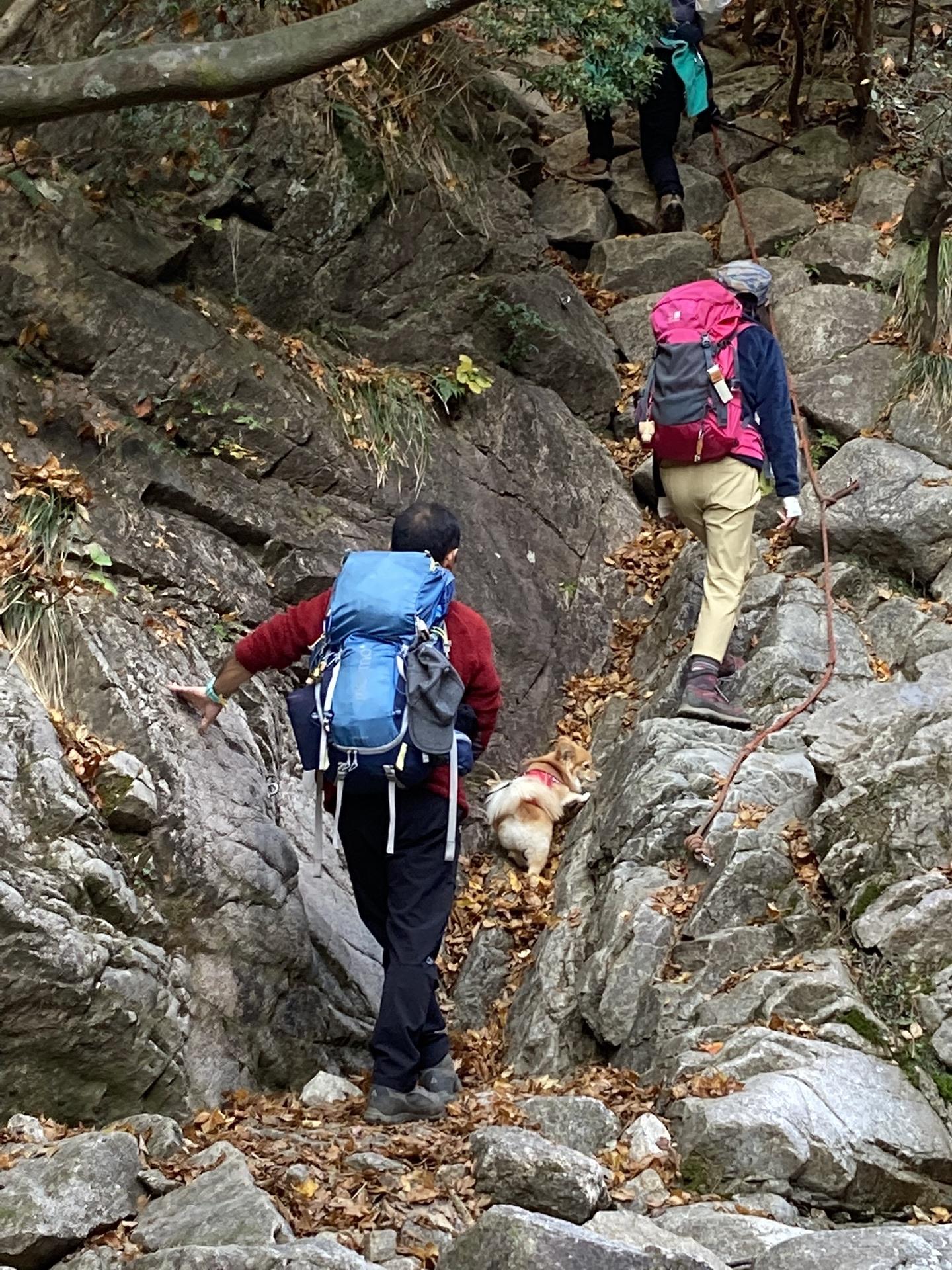 釈迦ヶ岳 ヒョイヒョイ