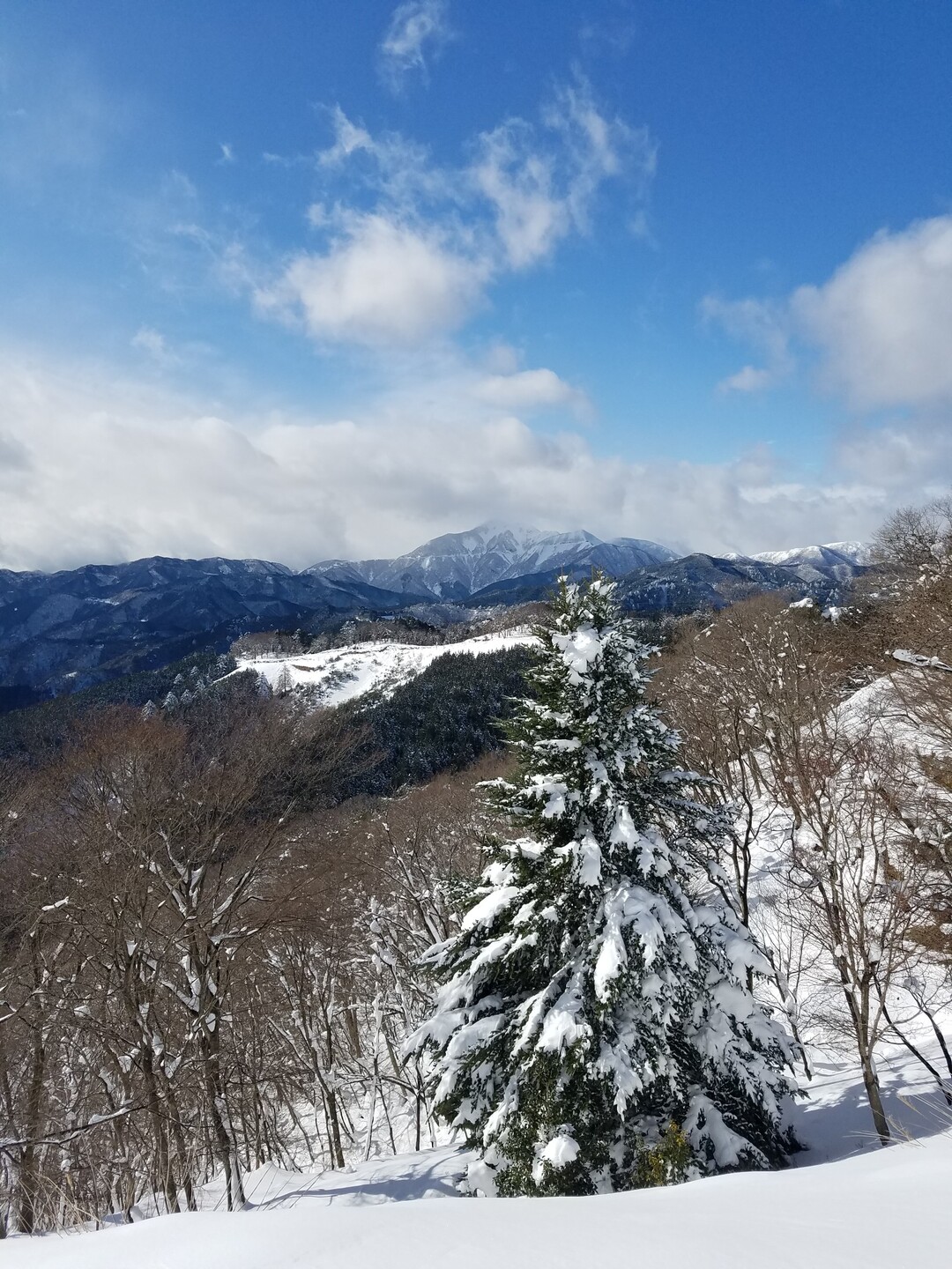 池田山 12 ヒロさんの池田山の活動データ Yamap ヤマップ