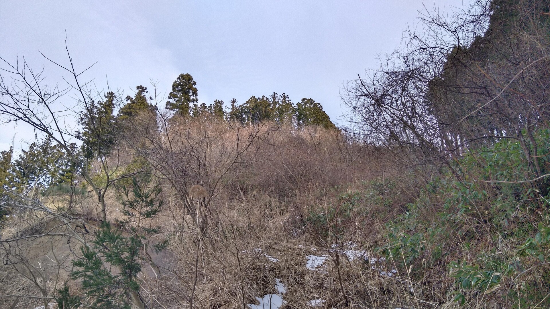 金山散策20230112由利本荘市 / 由利本荘市（本荘・西目・由利・東由利）の写真2枚目 YAMAP / ヤマップ