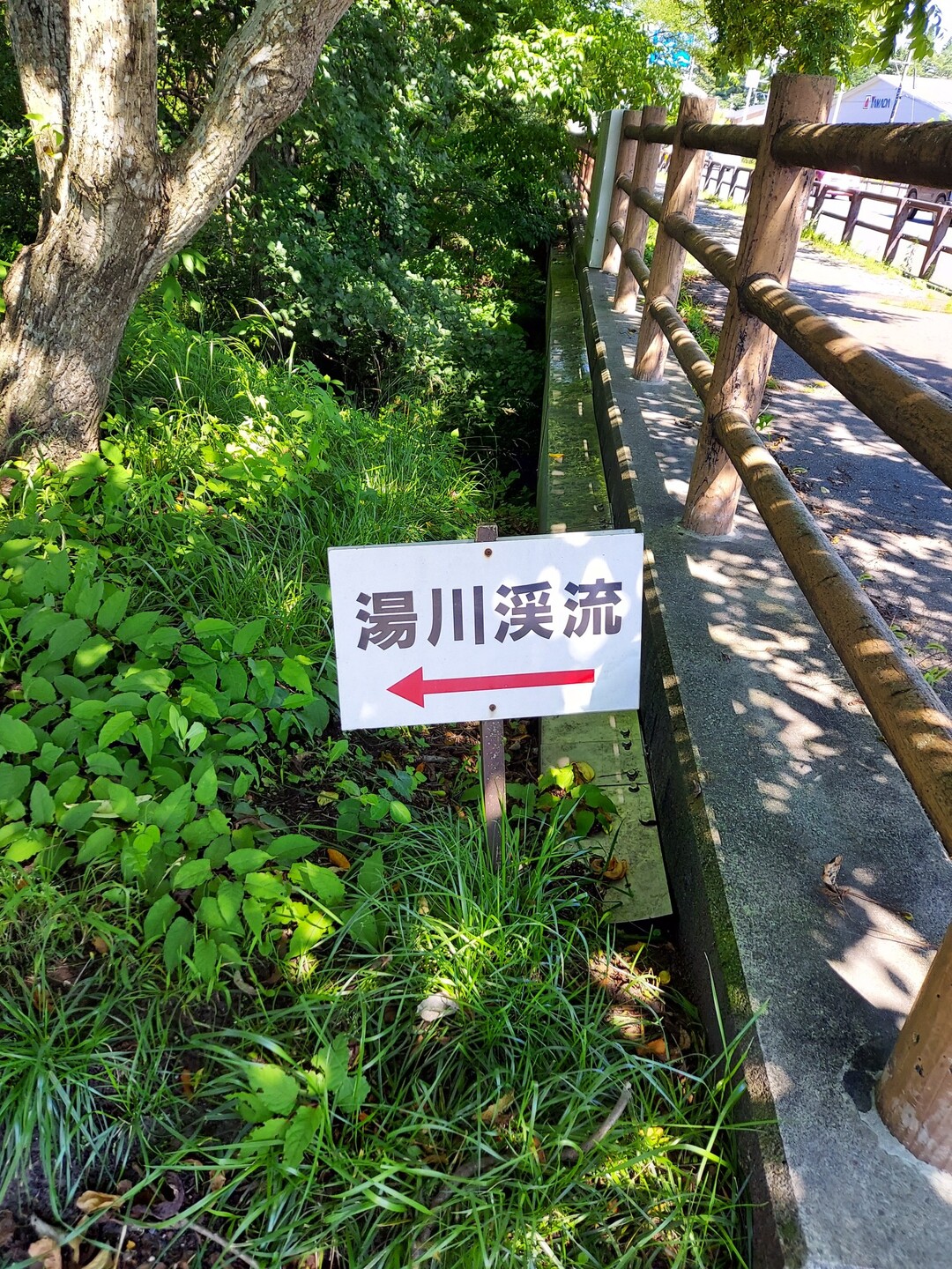 軽井沢 湯川渓流沿いを ツルヤからハル ひつじ雲さんのモーメント Yamap ヤマップ