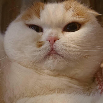 まも