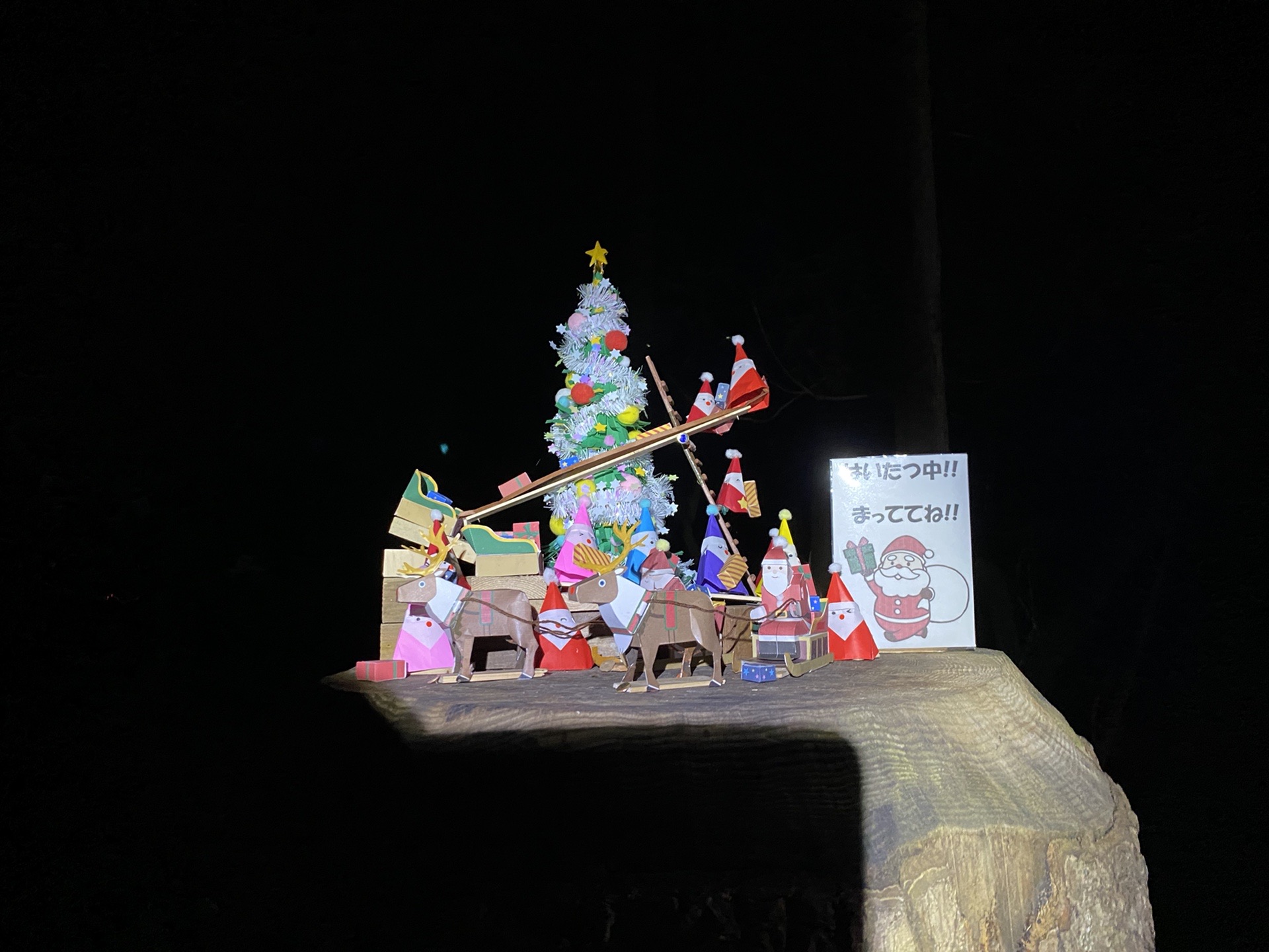 クリスマス時期の高尾山六号路ナイトハイク たけさんの高尾山 陣馬山 景信山の活動日記 Yamap ヤマップ