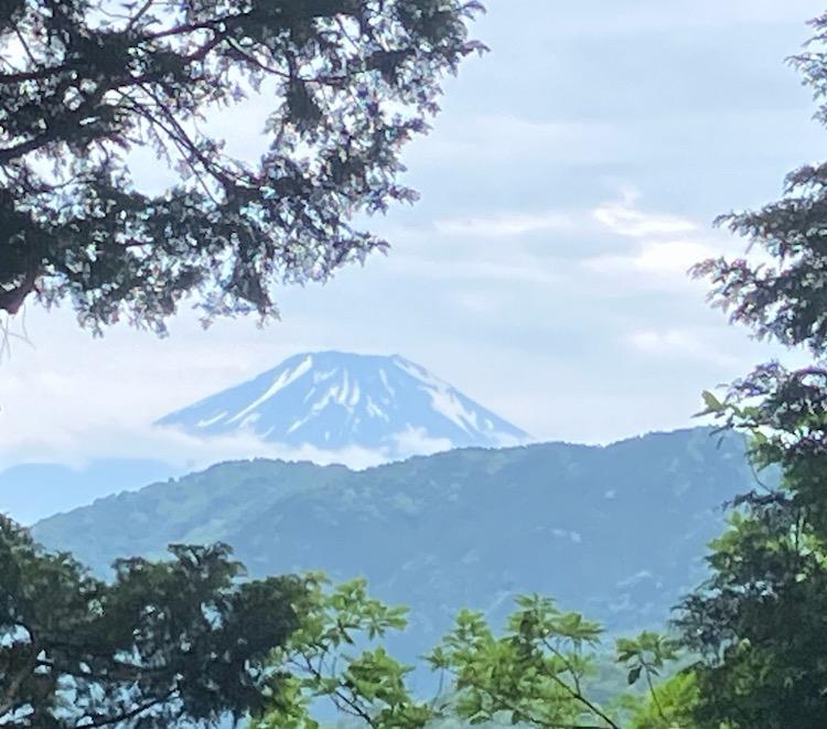 雨で出発遅らすも雪が残る富士山が見えました‼️ / Ken miuさんの塔ノ岳・丹沢山・蛭ヶ岳の活動データ | YAMAP / ヤマップ