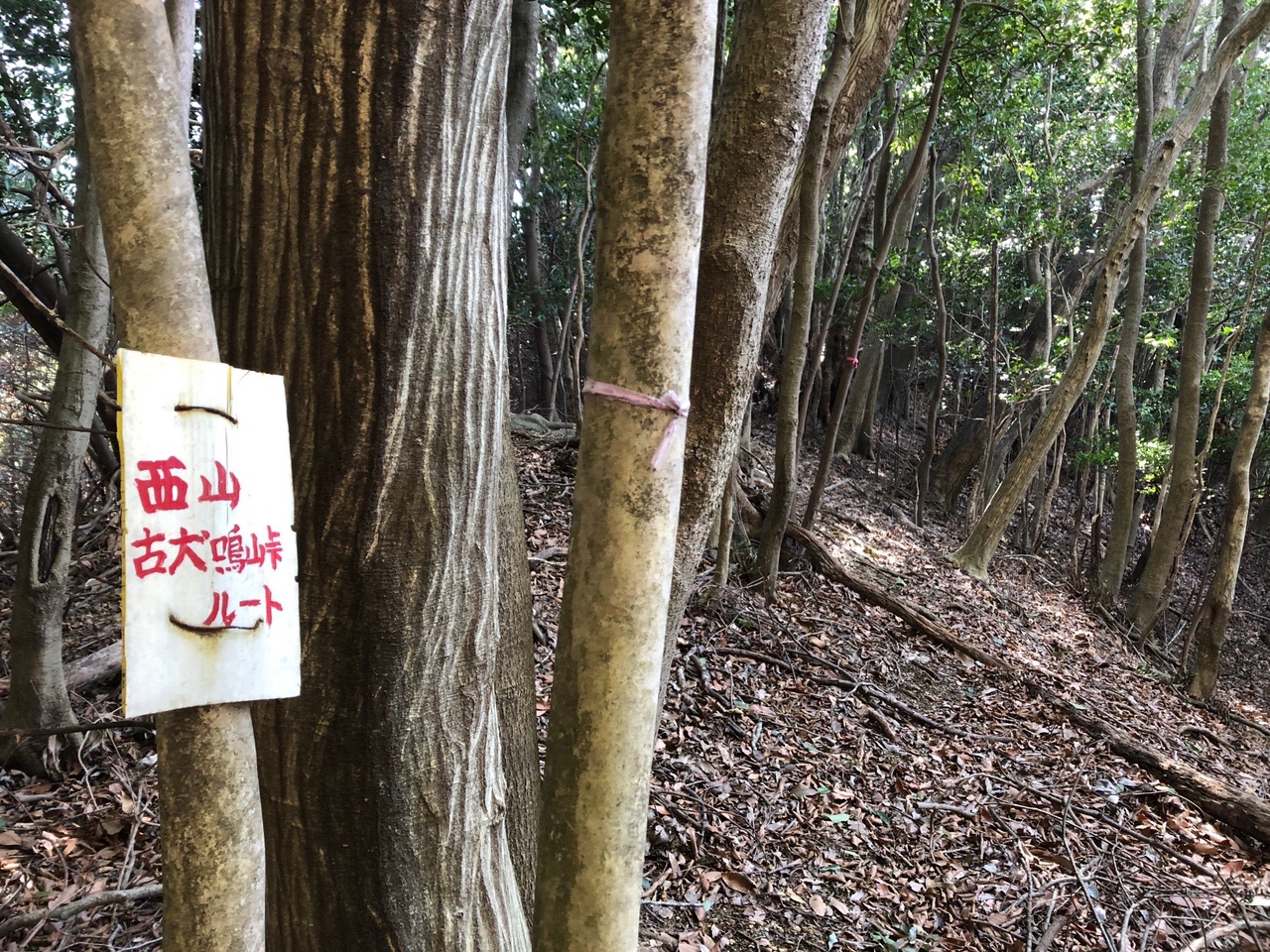 犬鳴山系縦走周回 たけぞーさんの犬鳴山 西山 鮎坂山 の活動データ Yamap ヤマップ