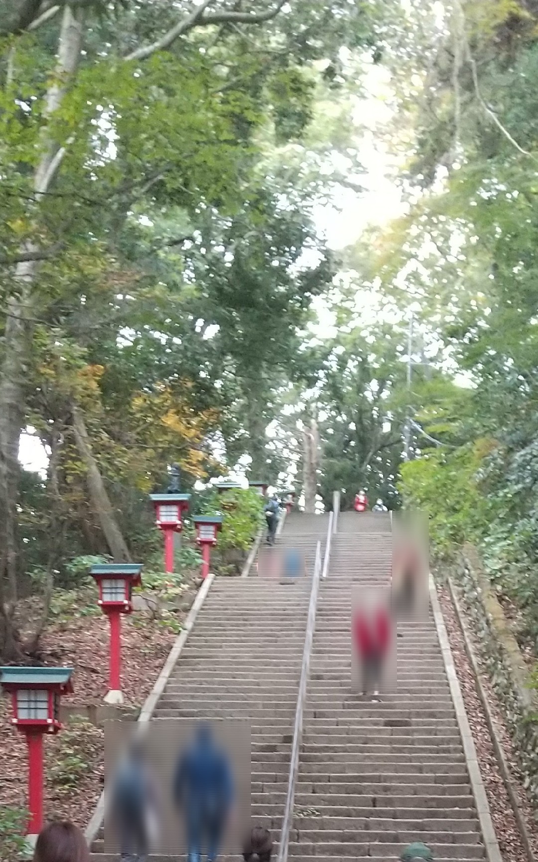高尾山 富士道 薬王院裏道 紅葉台 Towaさんの高尾山 陣馬山 景信山の活動日記 Yamap ヤマップ