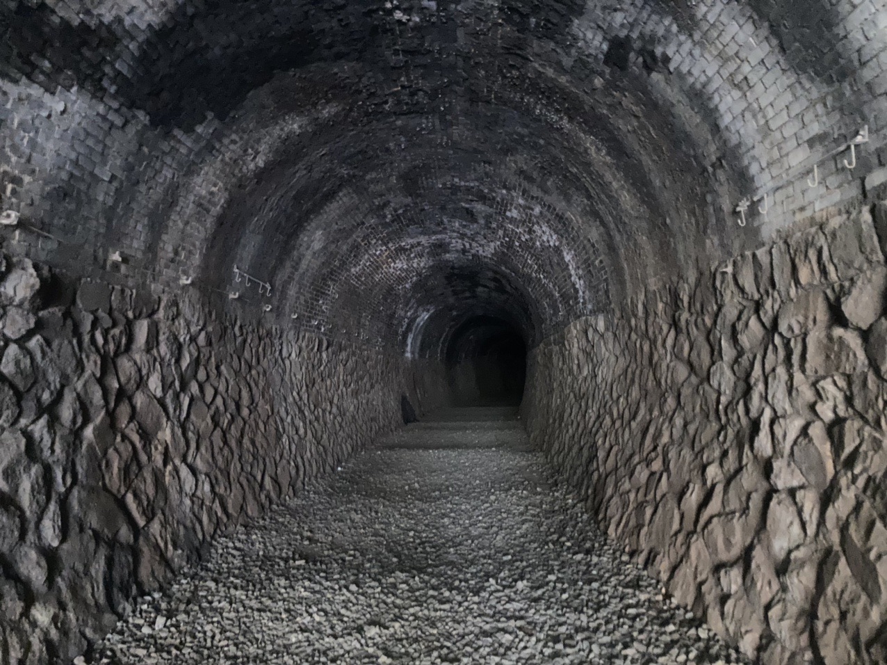 大峰山 福知山線廃トンネル ムゲラさんの中山 大峰山の活動データ Yamap ヤマップ