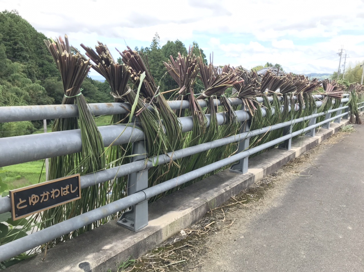 生駒山・神津嶽・大原山 なんだこれ？欄干にずらーっと干されているような。