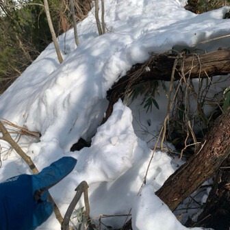 尖山 上手く撮れんくて伝わらんけど、ここで背丈くらい落ちたわ😵
よじ登って、どうにか脱出🪜⤴︎