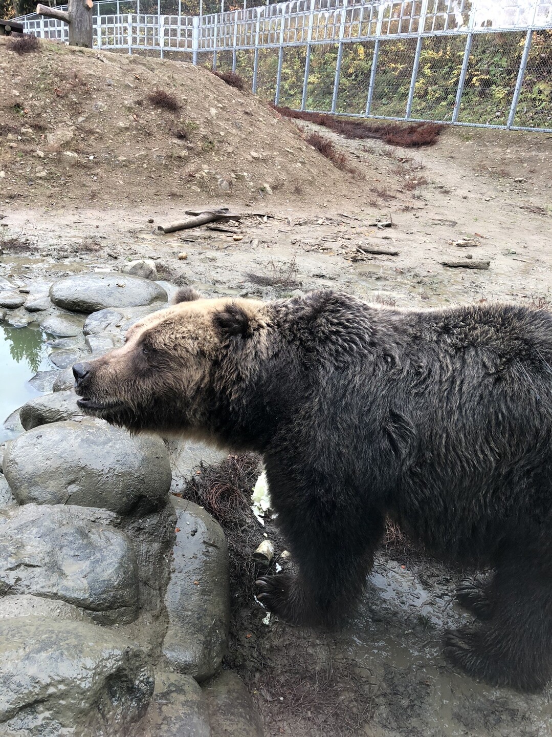 安の滝を見にマタギの里へ Dufferさんの森吉山の活動日記 Yamap ヤマップ