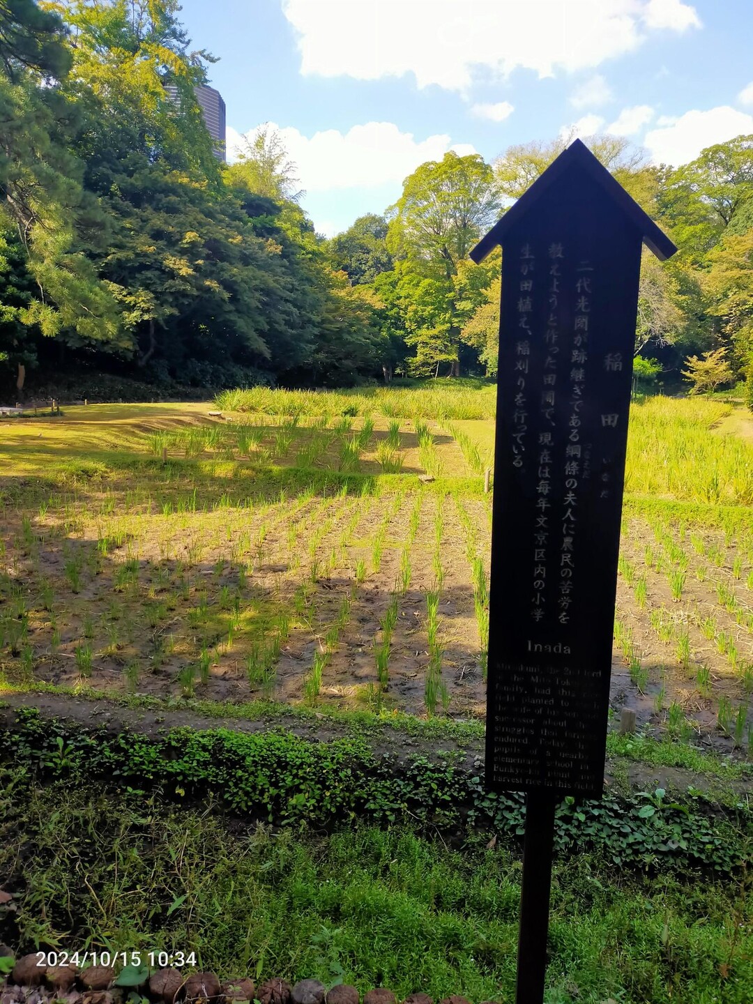 東京都23区 中央エリア20241015 / よしじいさんの東京都23区 中央エリアの活動日記 YAMAP / ヤマップ