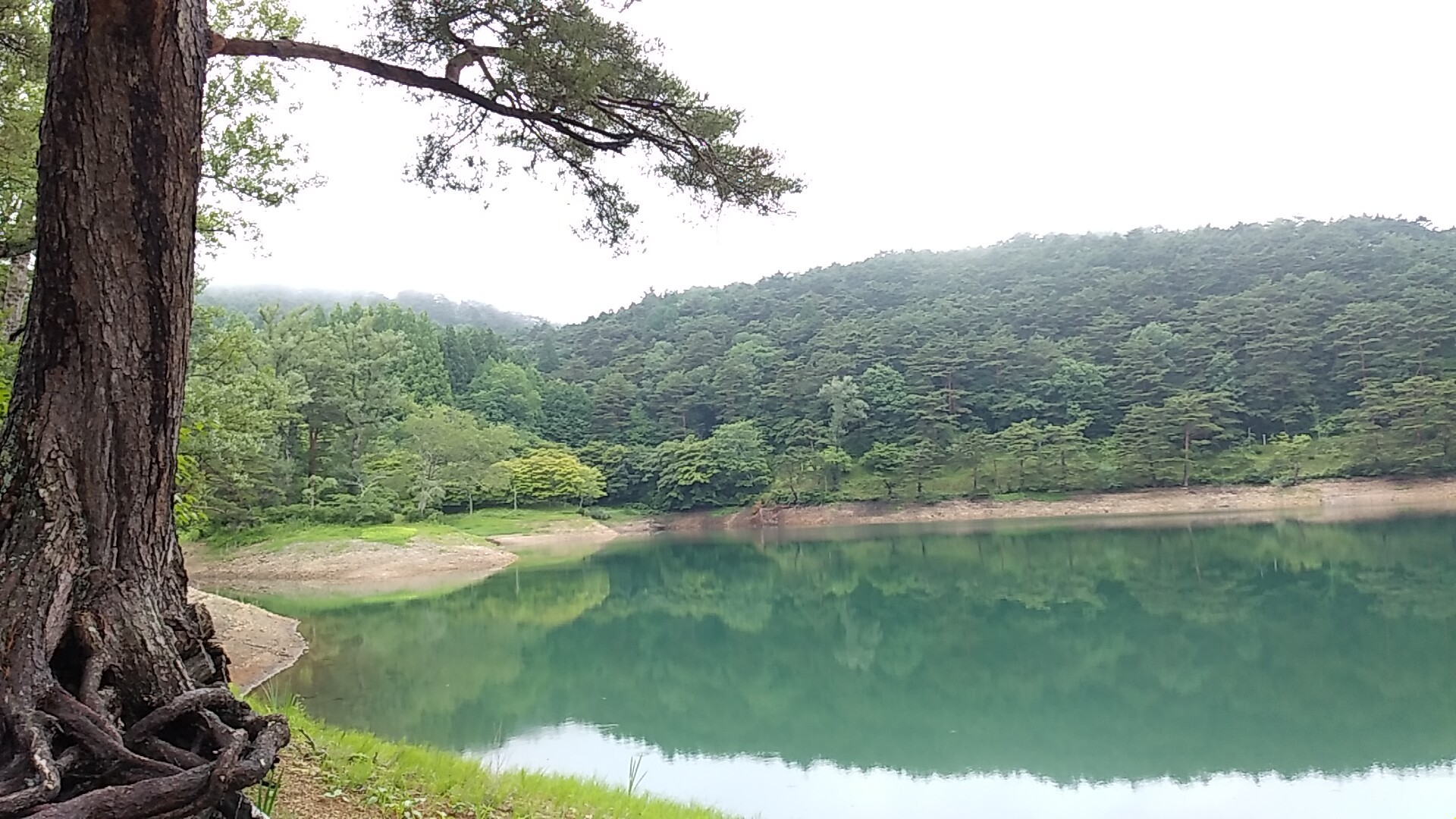 雨 の半田沼 水面が綺麗 のらさんの半田山 萬歳楽山の活動日記 Yamap ヤマップ