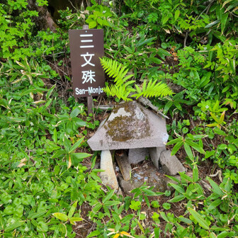 キバナノアツモリソウ(黄花の敦盛草)自生地へ / KIKOさんの高妻山