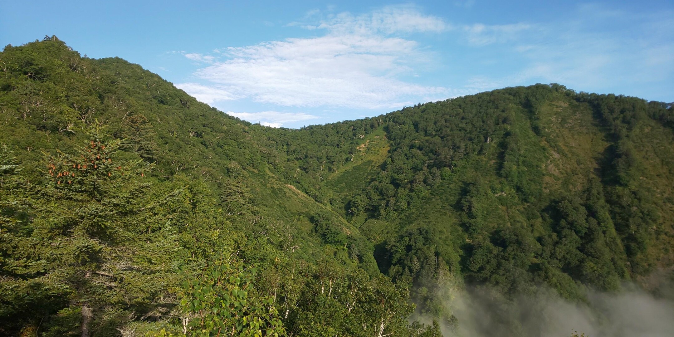 ウェンシリ岳、猛暑の 中 / おかちゃんさんのウエンシリ岳の活動データ YAMAP / ヤマップ