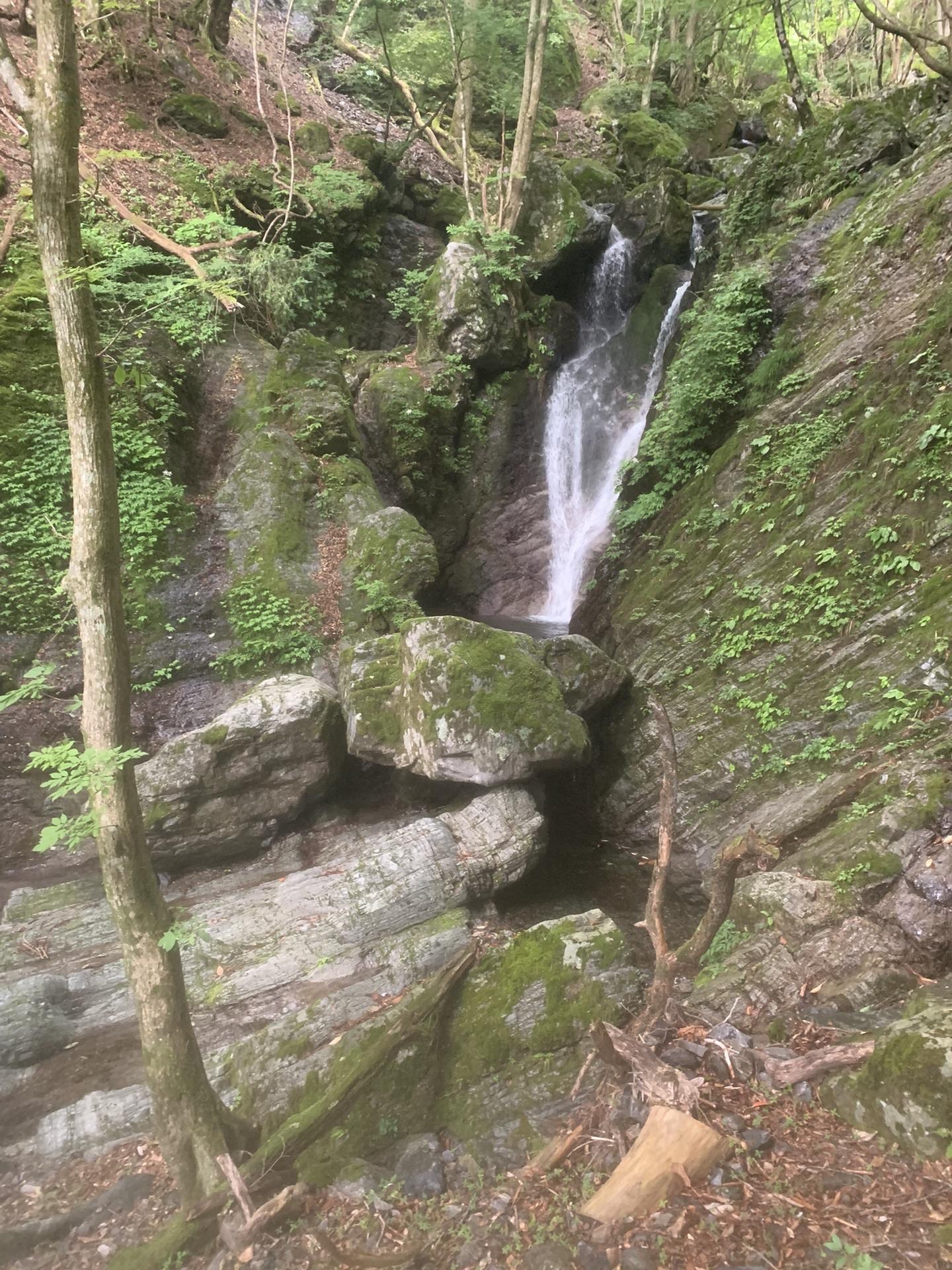 さらに先をいき