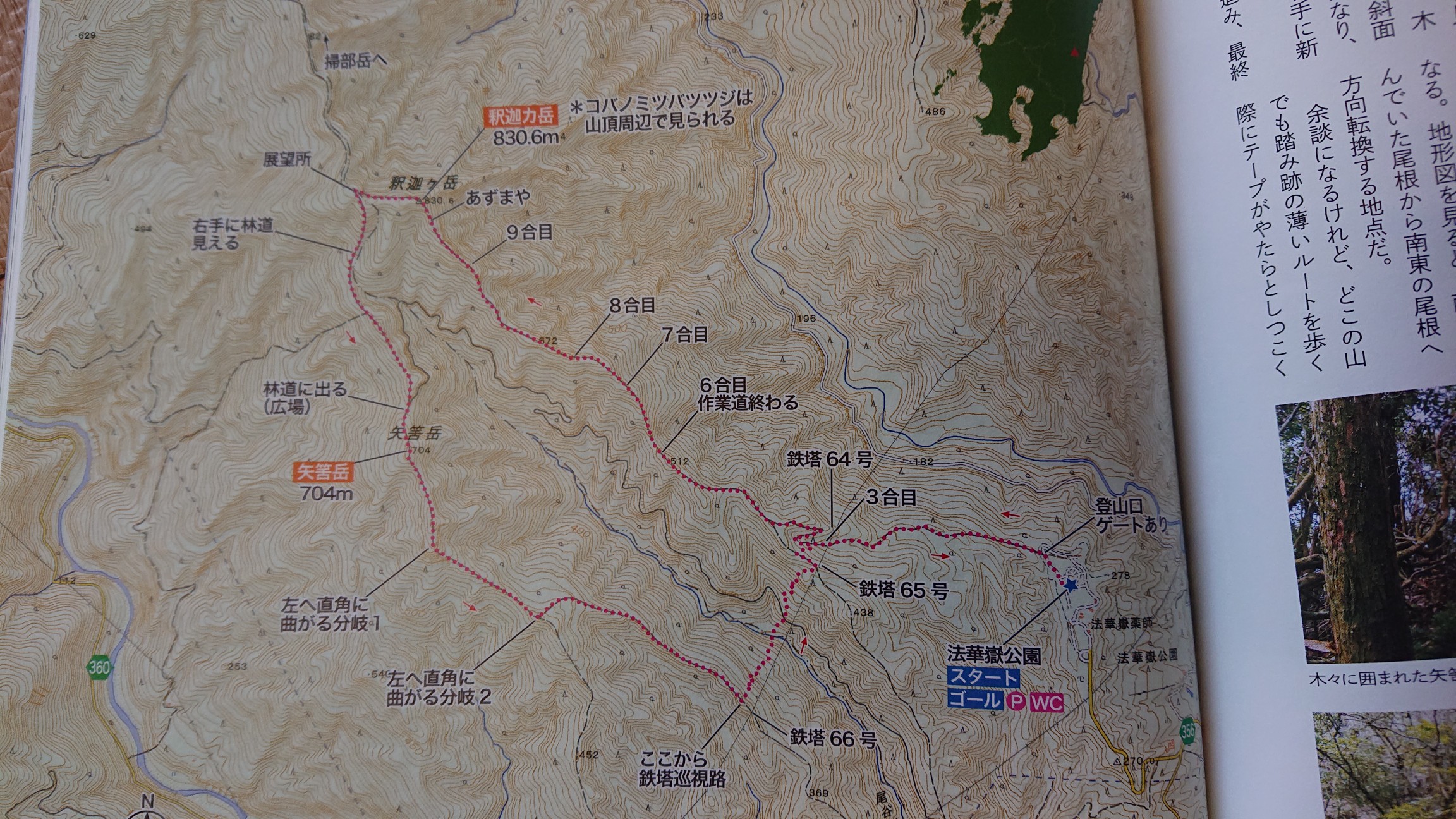 釈迦ヶ岳 宮崎 周回コースで南矢筈岳を発見 その先に綾岳もあったらしい やまちゃん さんの釈迦ヶ岳 釋迦ヶ岳 矢筈岳の活動日記 Yamap ヤマップ