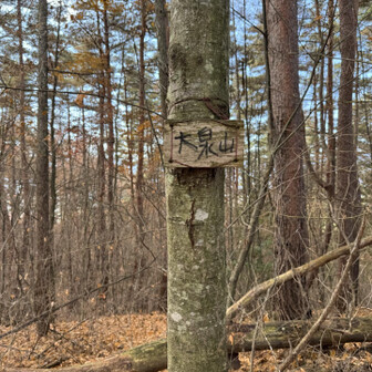 控えめな看板
展望はなし